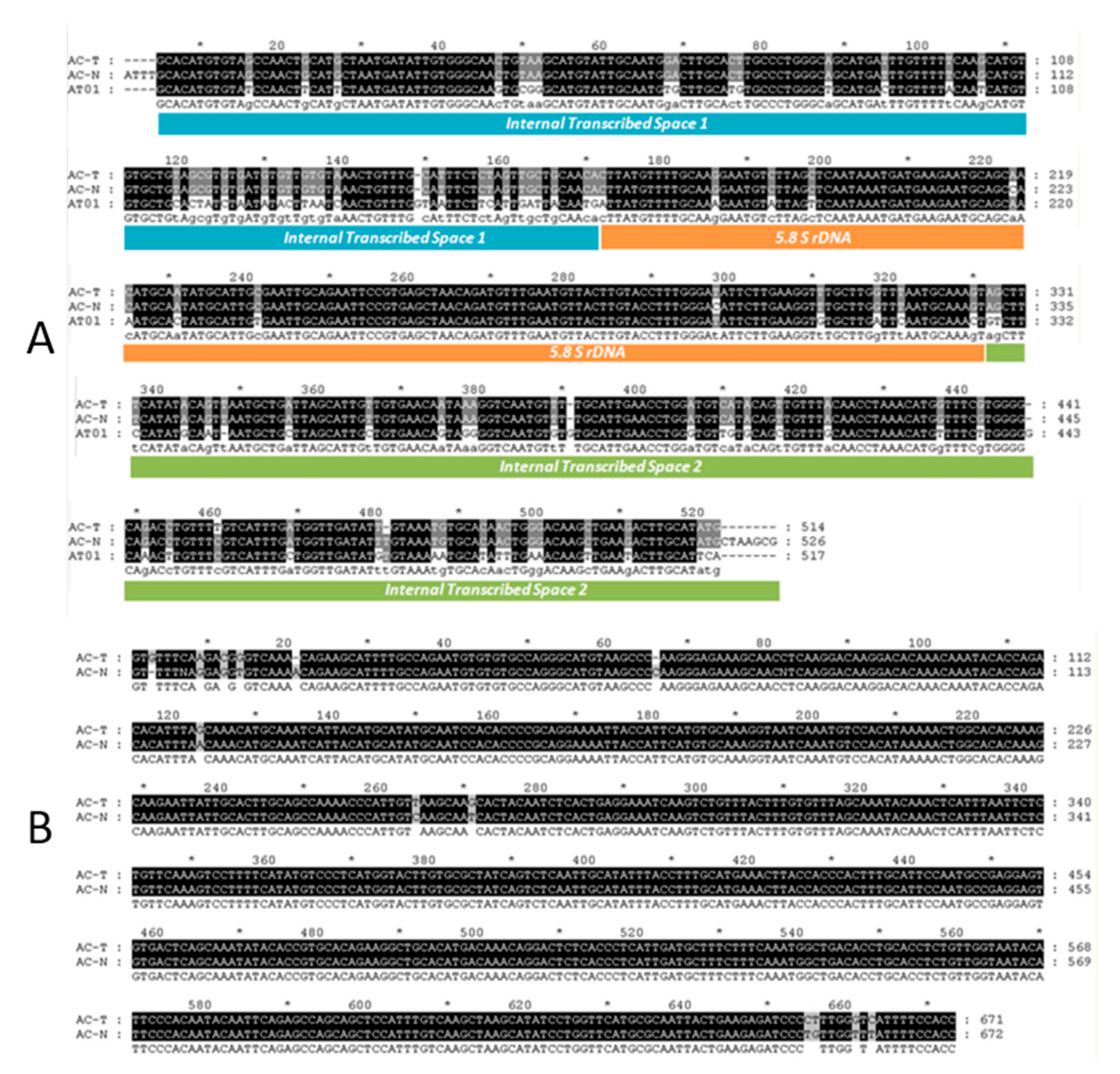 Toxins 12 00477 g001 Toxins 12 00477 g001