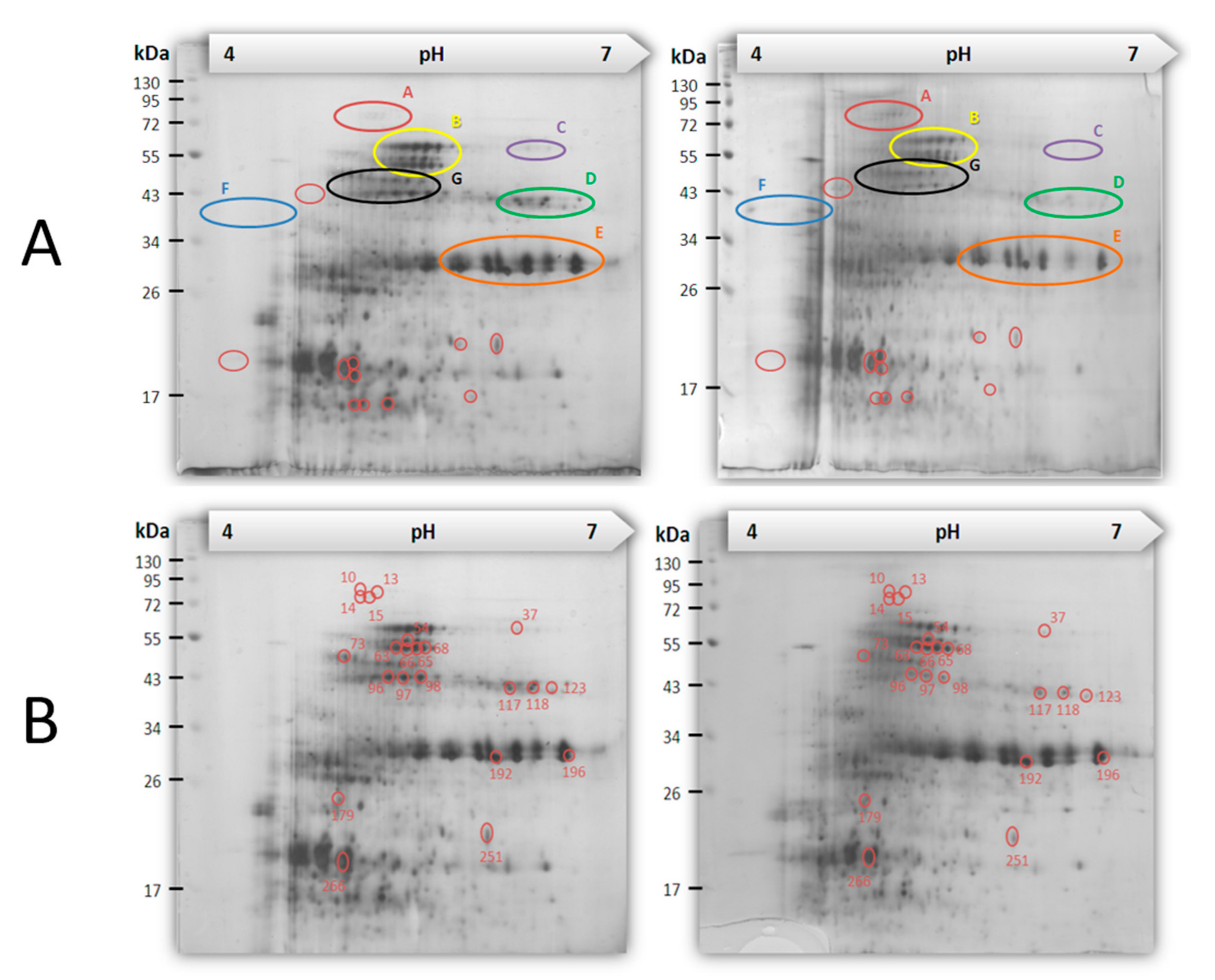 Toxins 12 00477 g005 Toxins 12 00477 g005