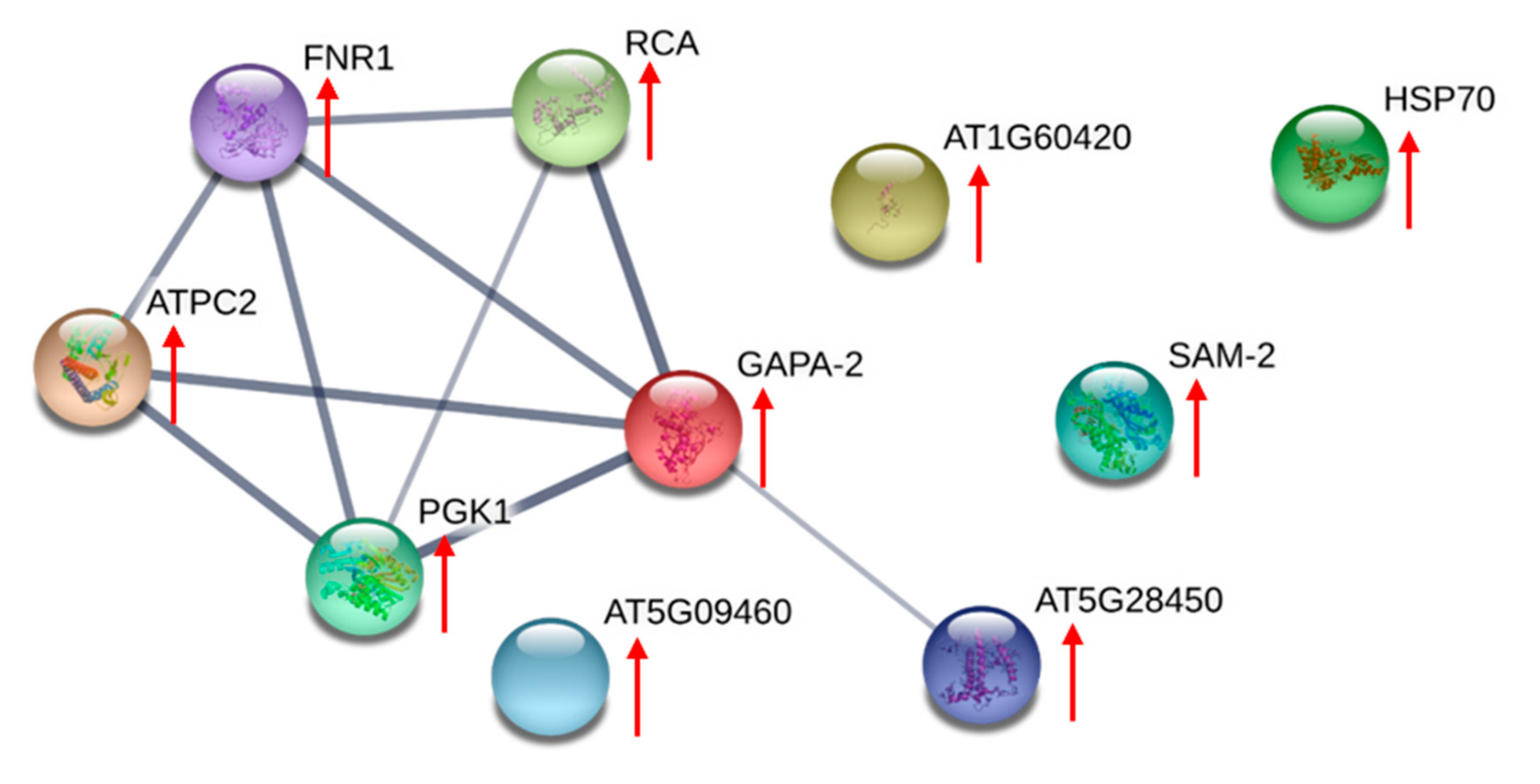 Toxins 12 00477 g006 Toxins 12 00477 g006