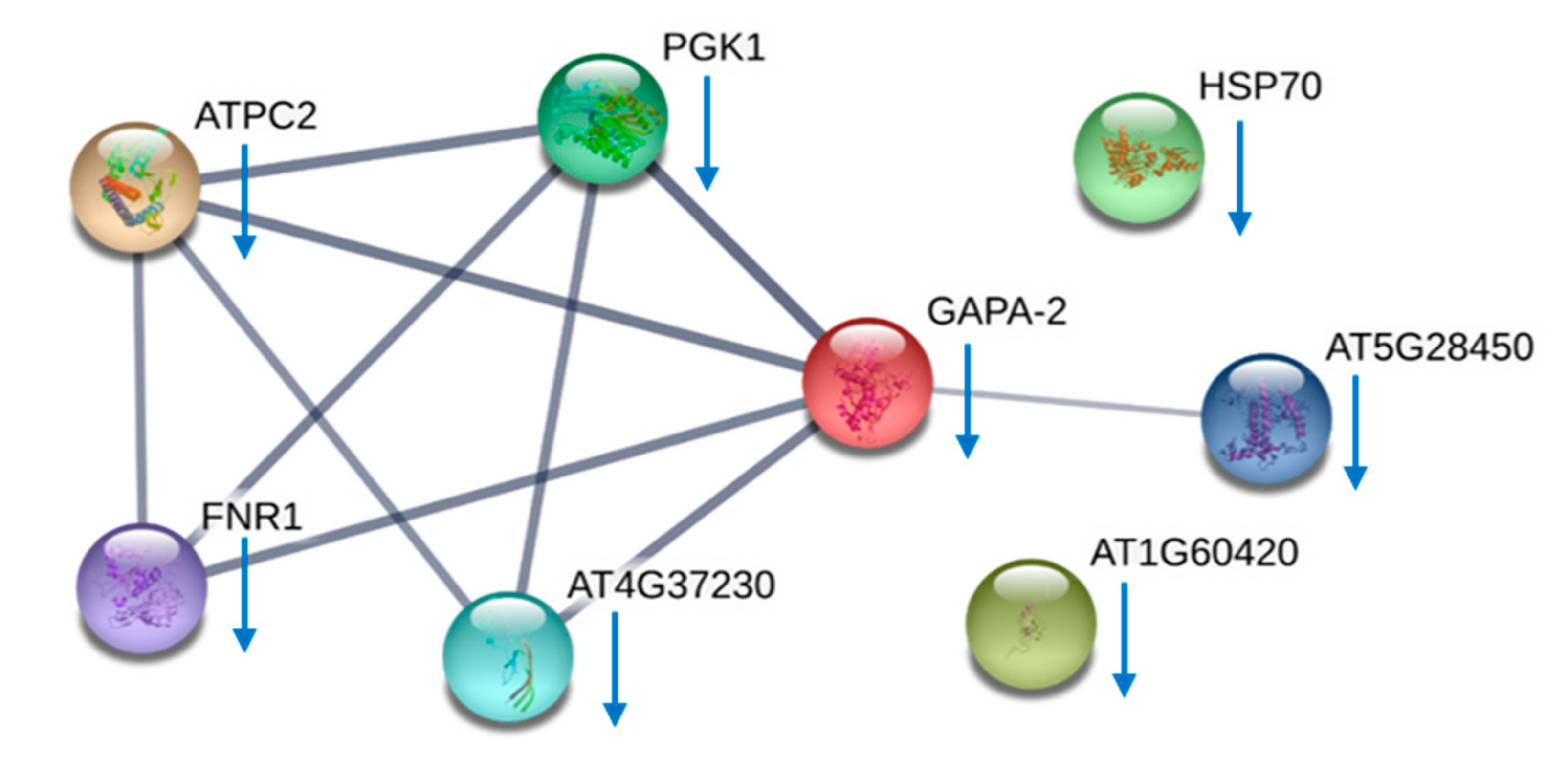Toxins 12 00477 g007 Toxins 12 00477 g007