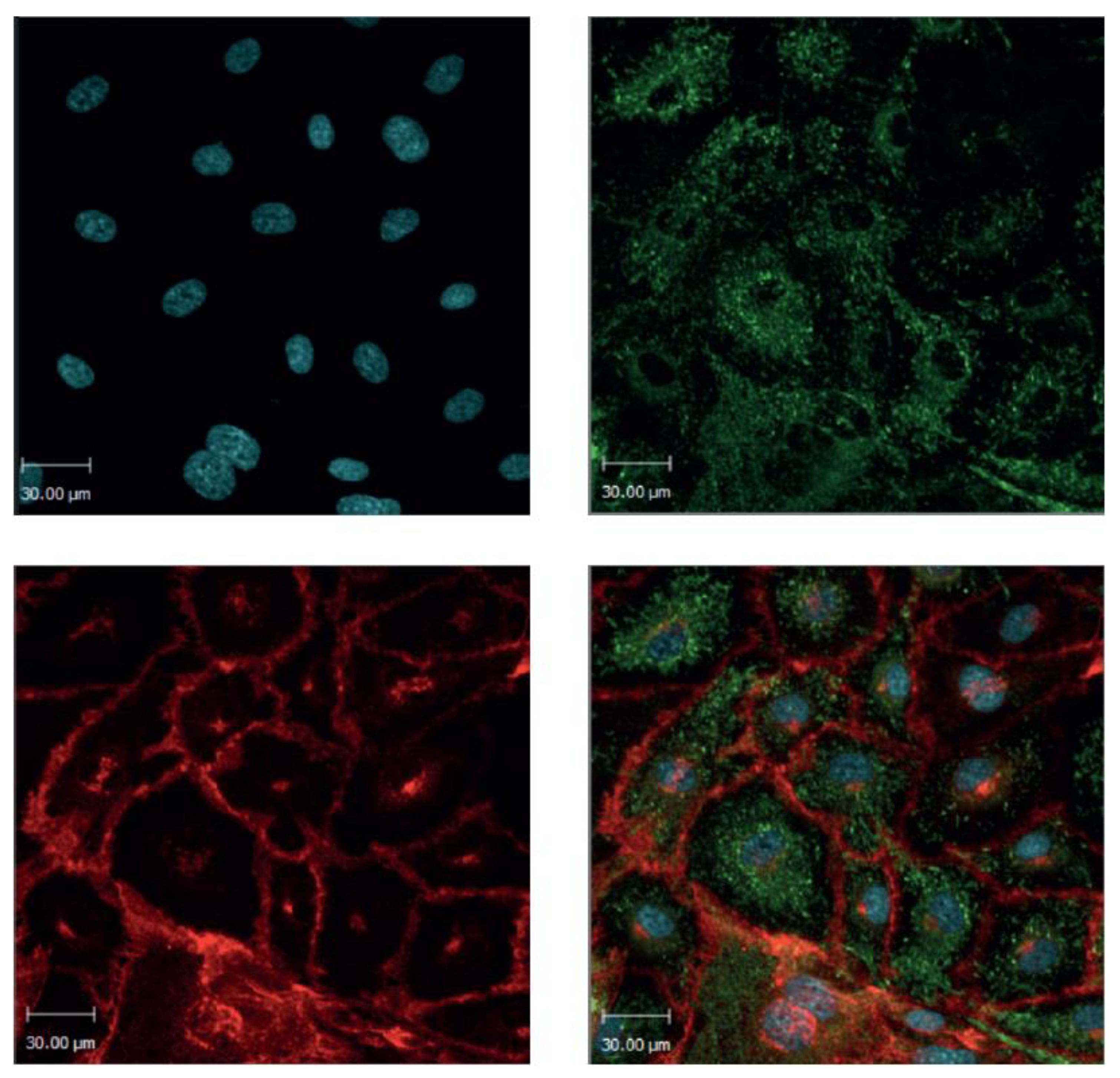 Toxins 12 00483 g001
