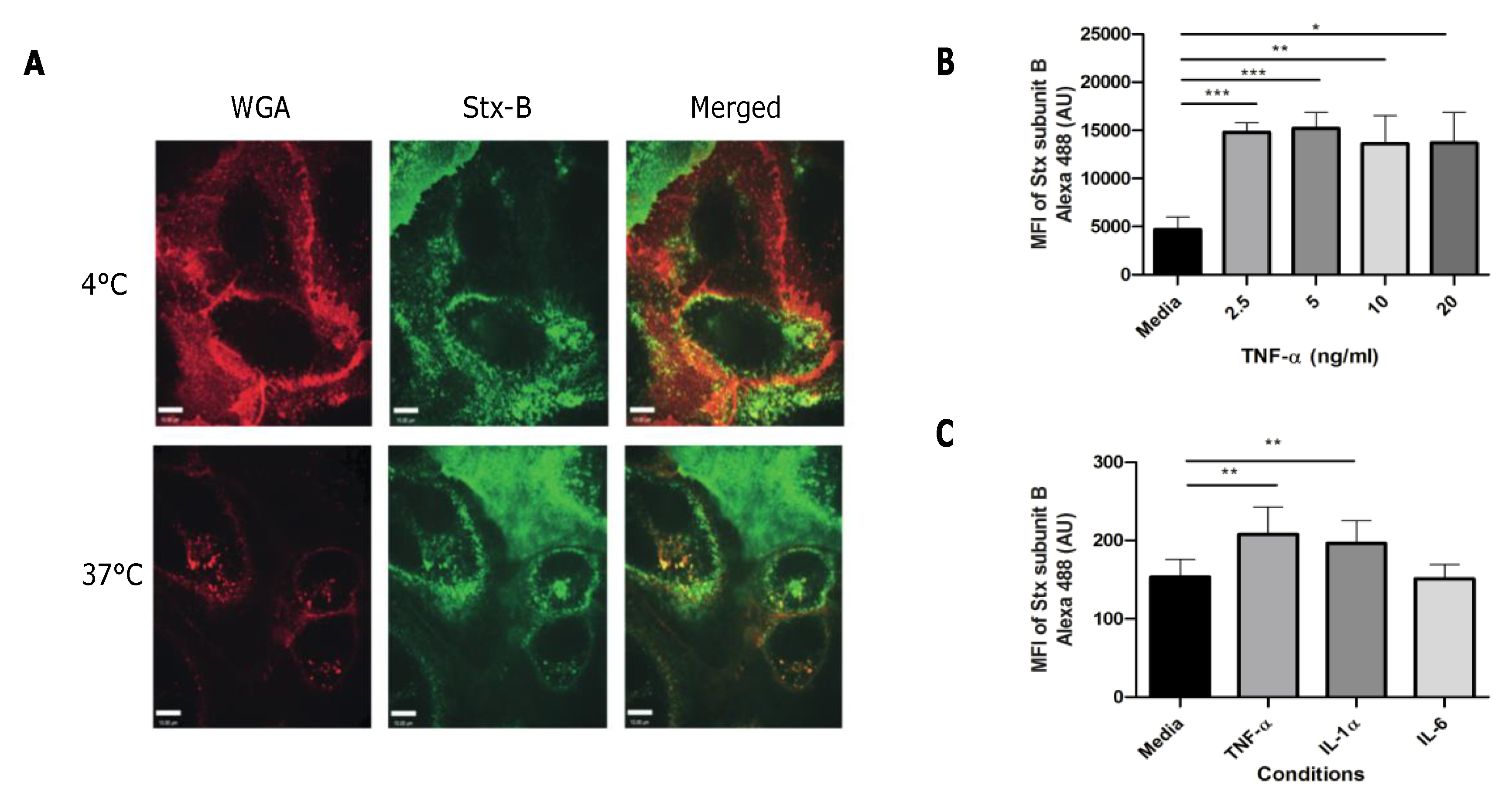 Toxins 12 00483 g002