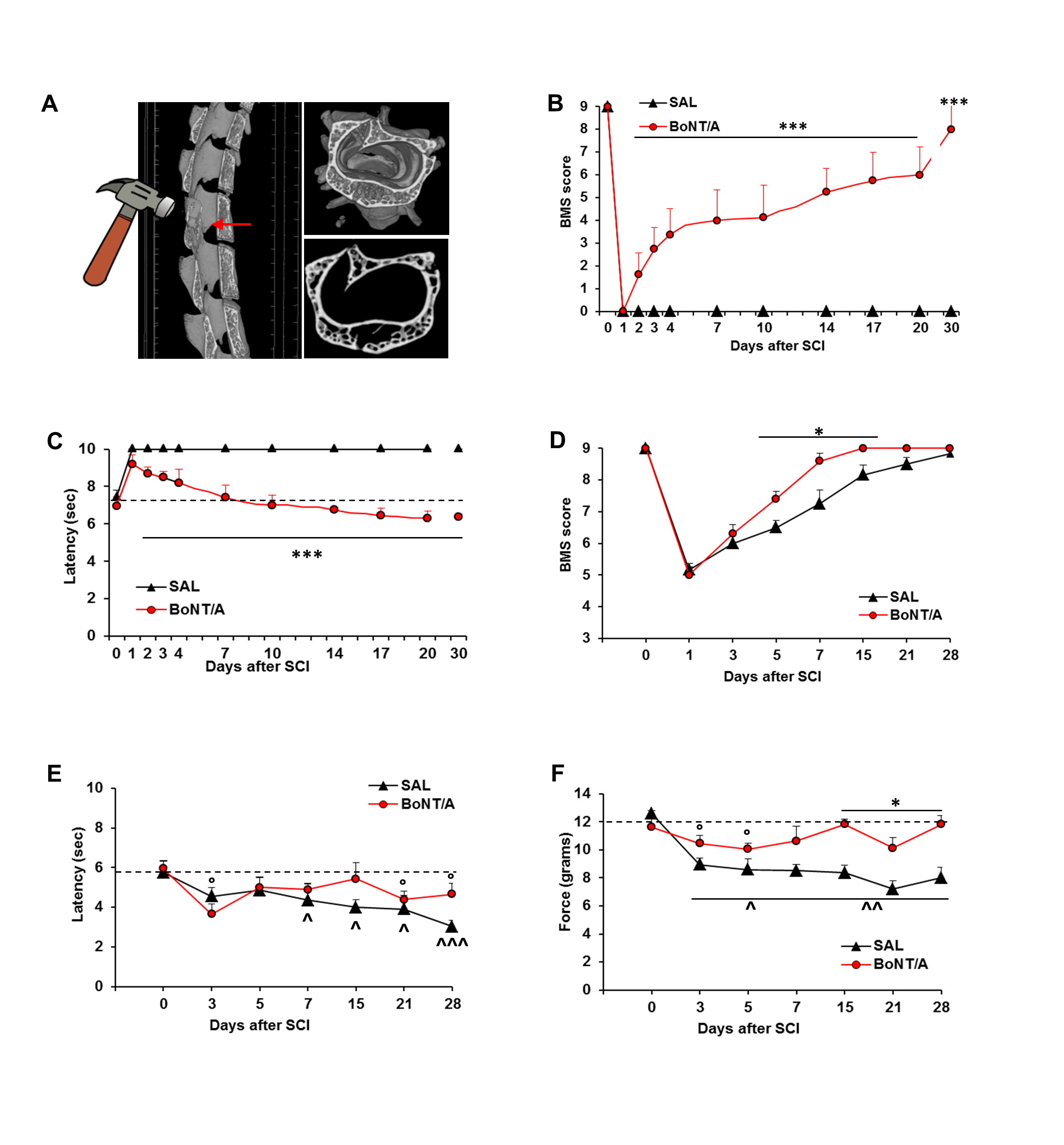 Toxins 12 00491 g001 Toxins 12 00491 g001