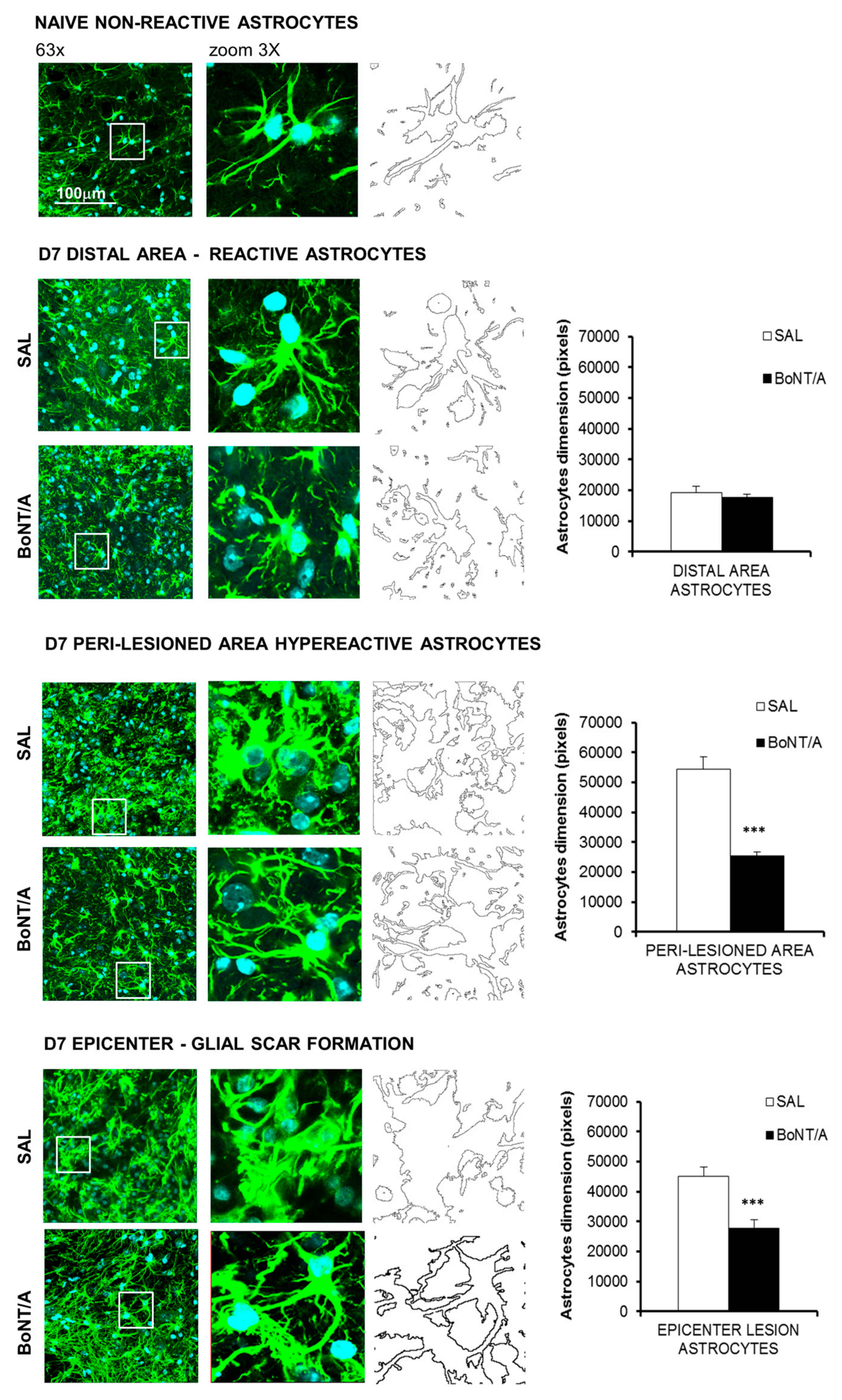 Toxins 12 00491 g002 Toxins 12 00491 g002