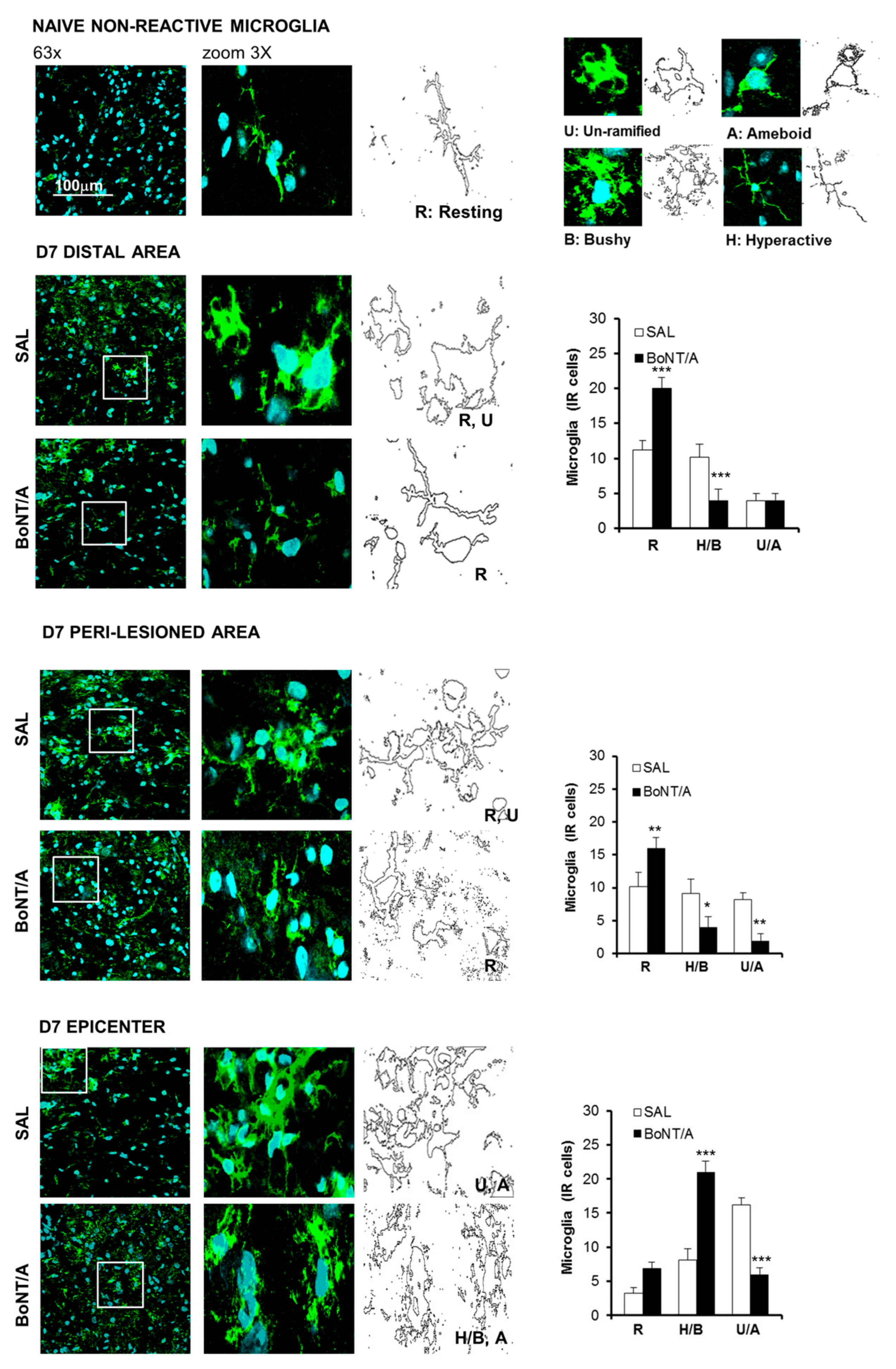 Toxins 12 00491 g004 Toxins 12 00491 g004