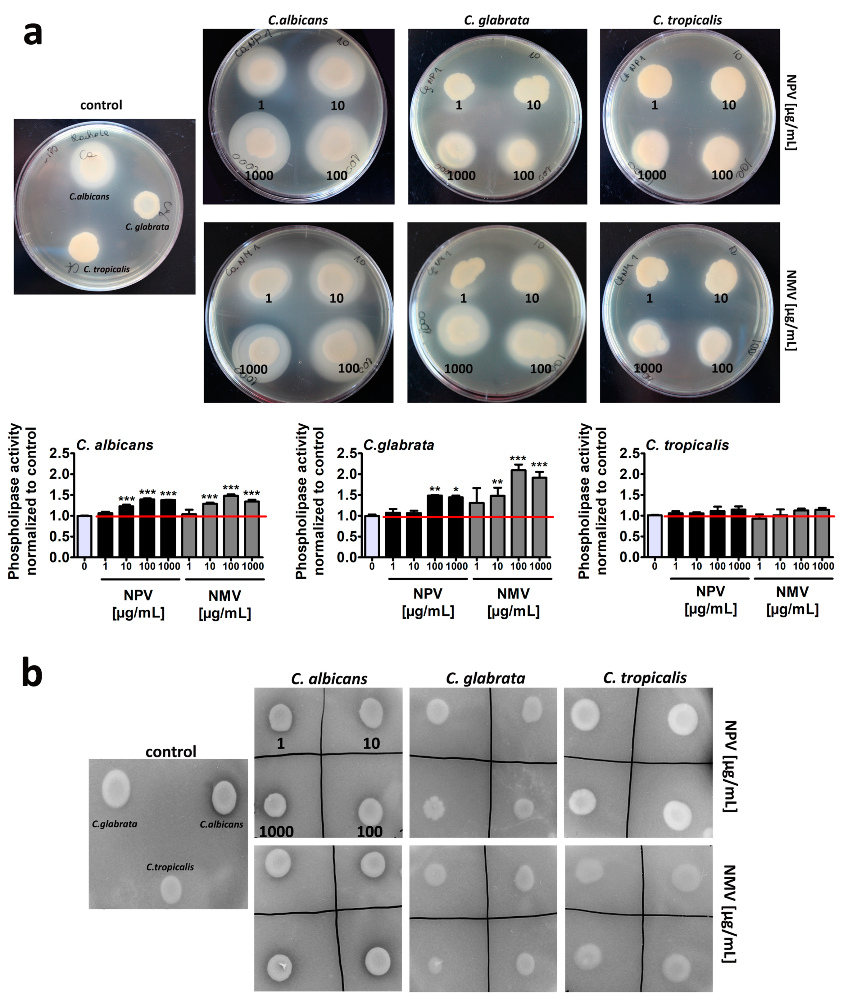 Toxins 12 00500 g005 Toxins 12 00500 g005