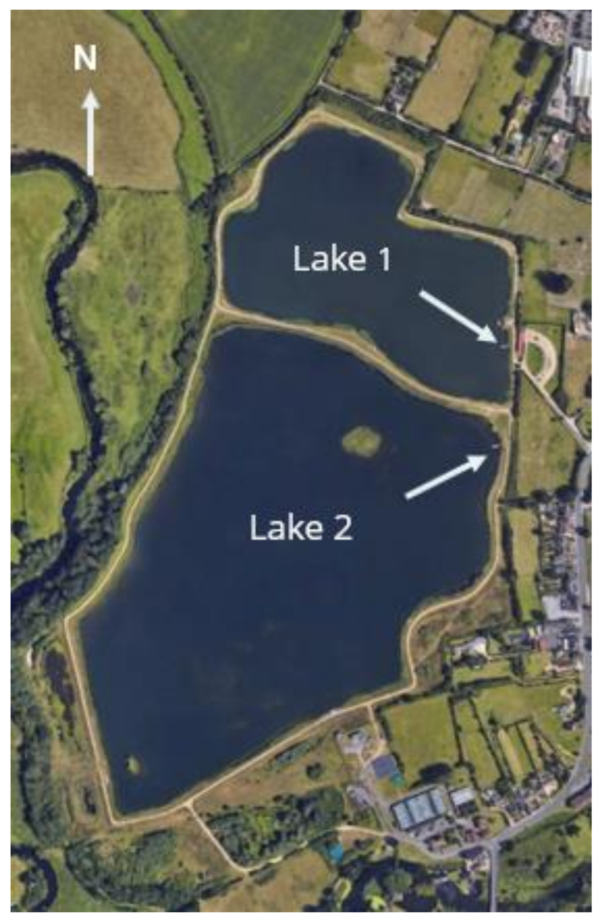 Toxins 12 00503 g002 Toxins 12 00503 g002