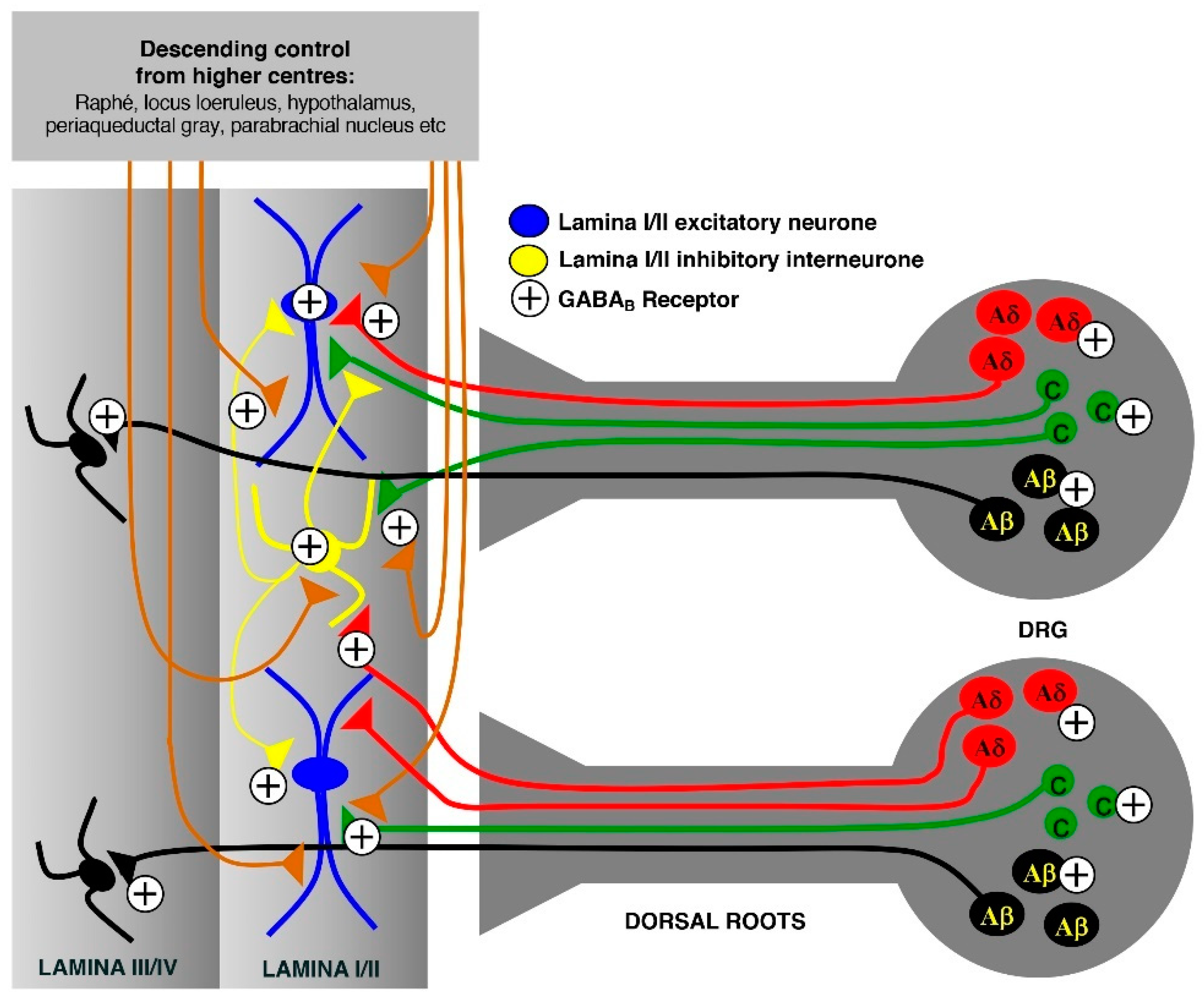 Toxins 12 00505 g001
