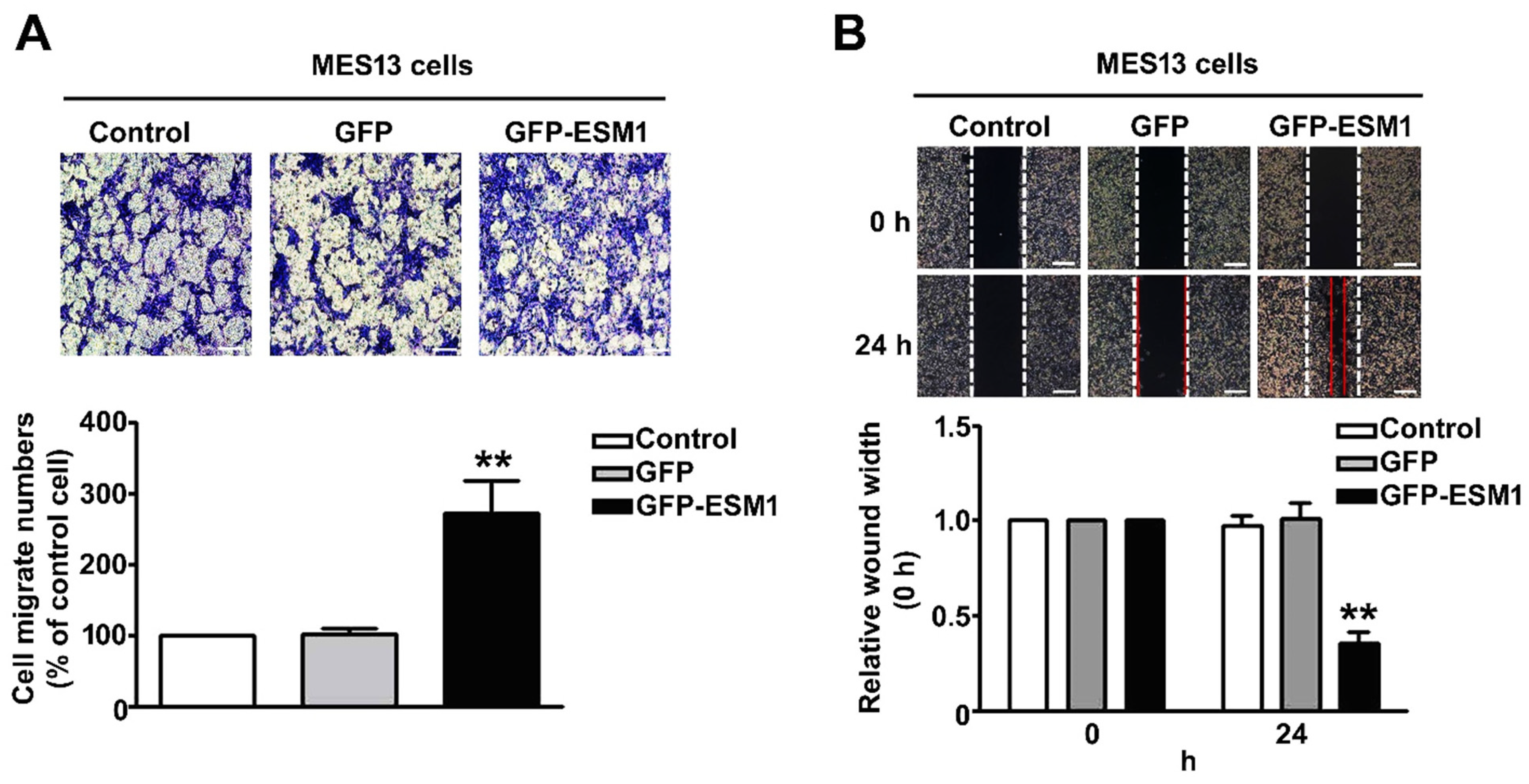 Toxins 12 00506 g004