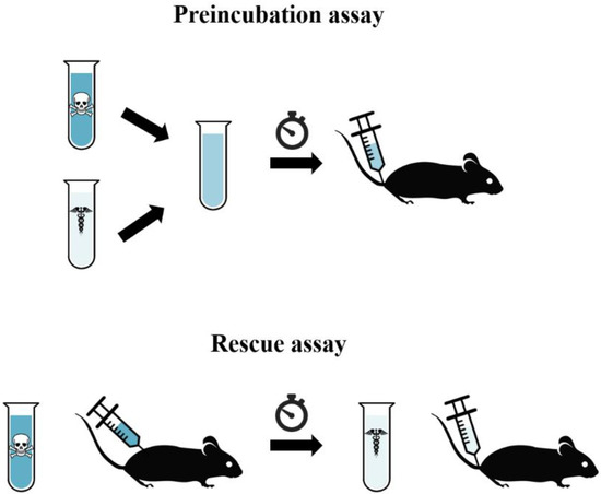 Toxins 12 00528 g001 Toxins 12 00528 g001