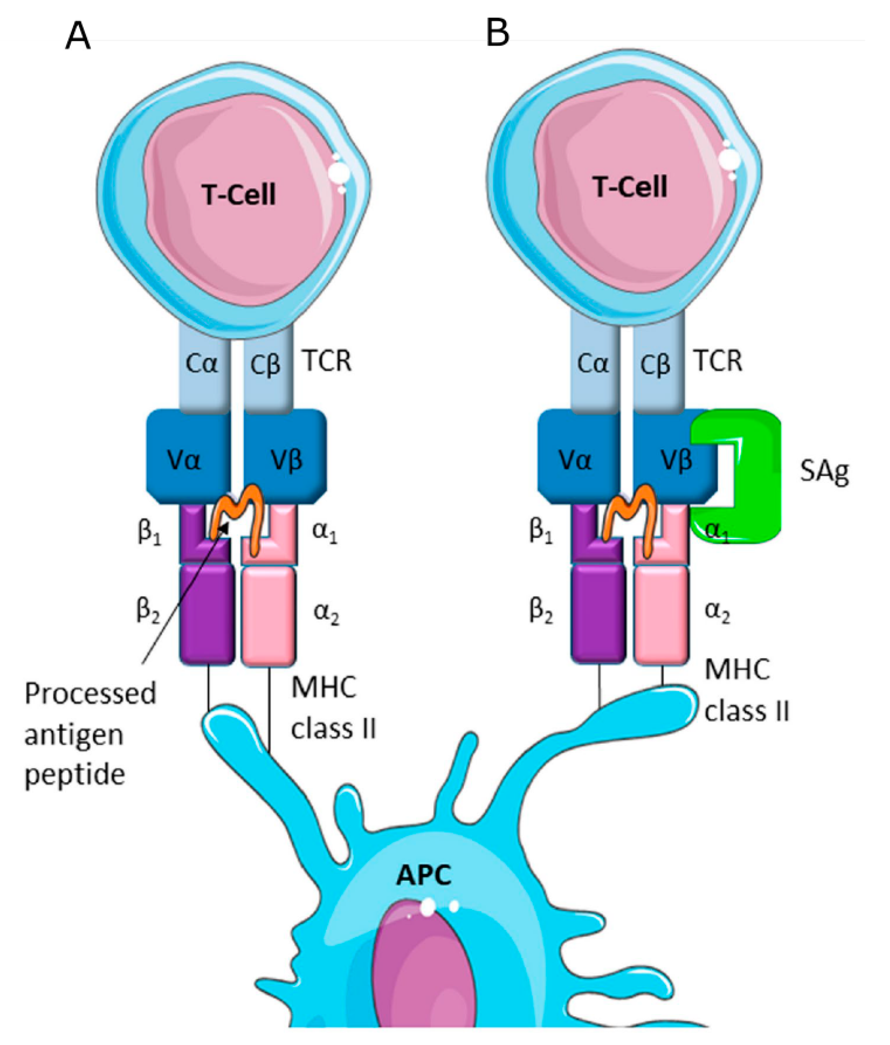Toxins 12 00537 g001 Toxins 12 00537 g001