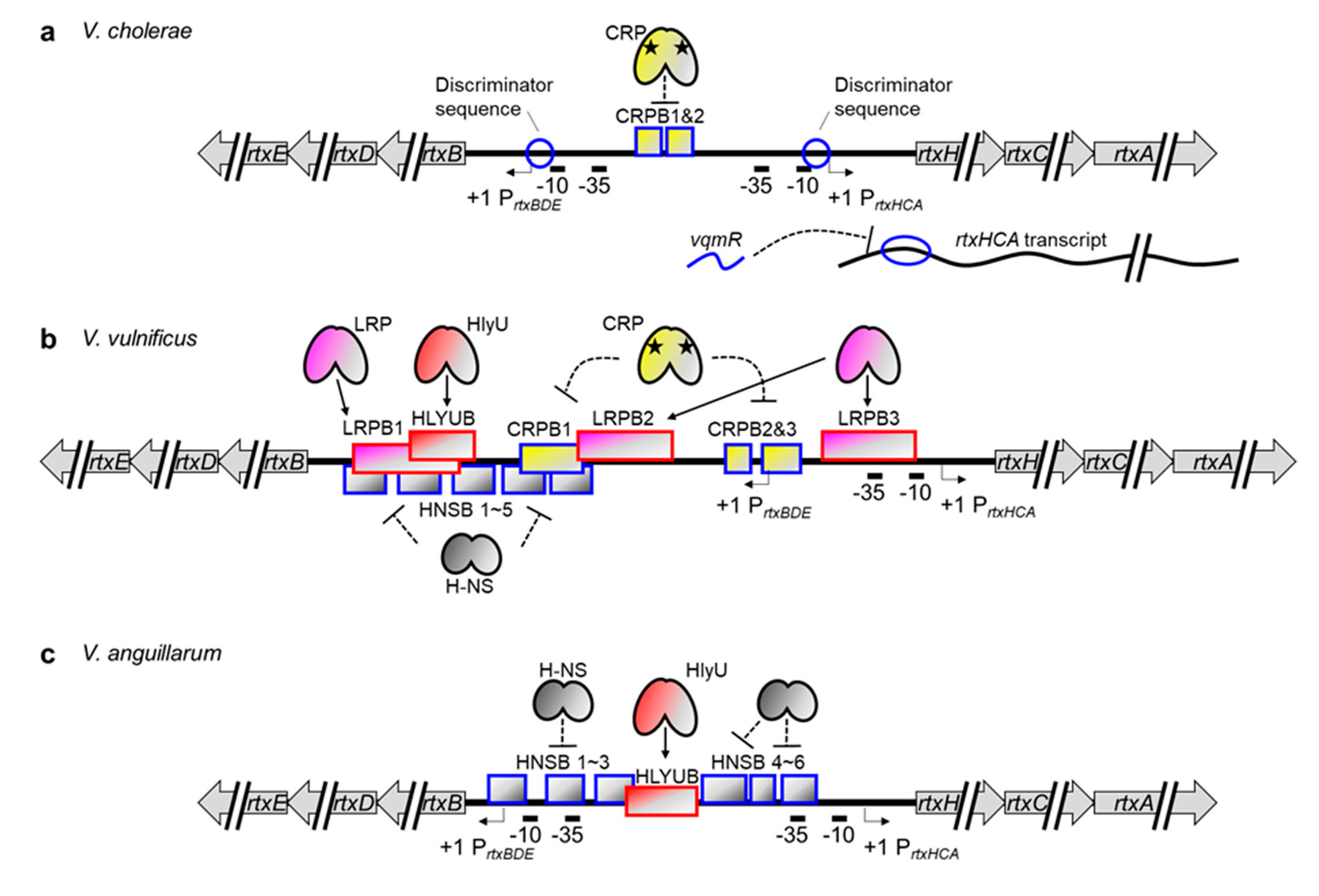 Toxins 12 00544 g004