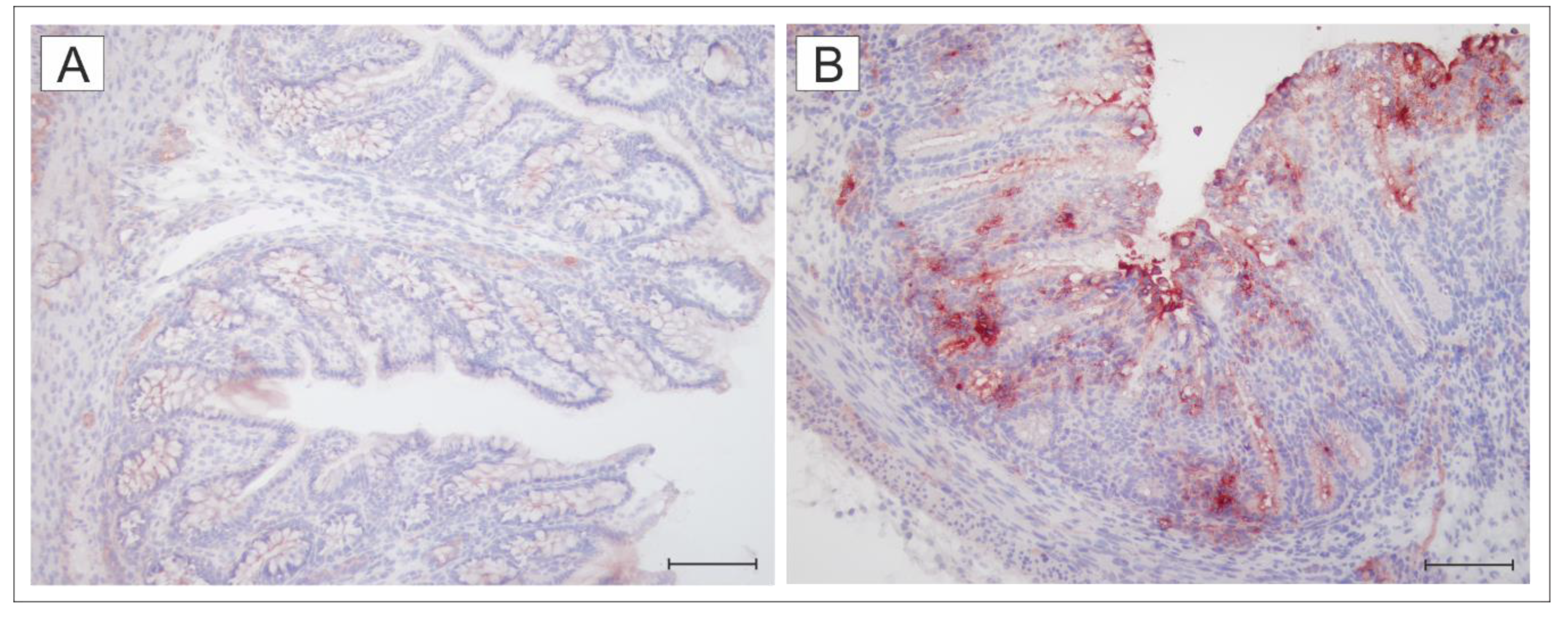 Toxins 12 00545 g001