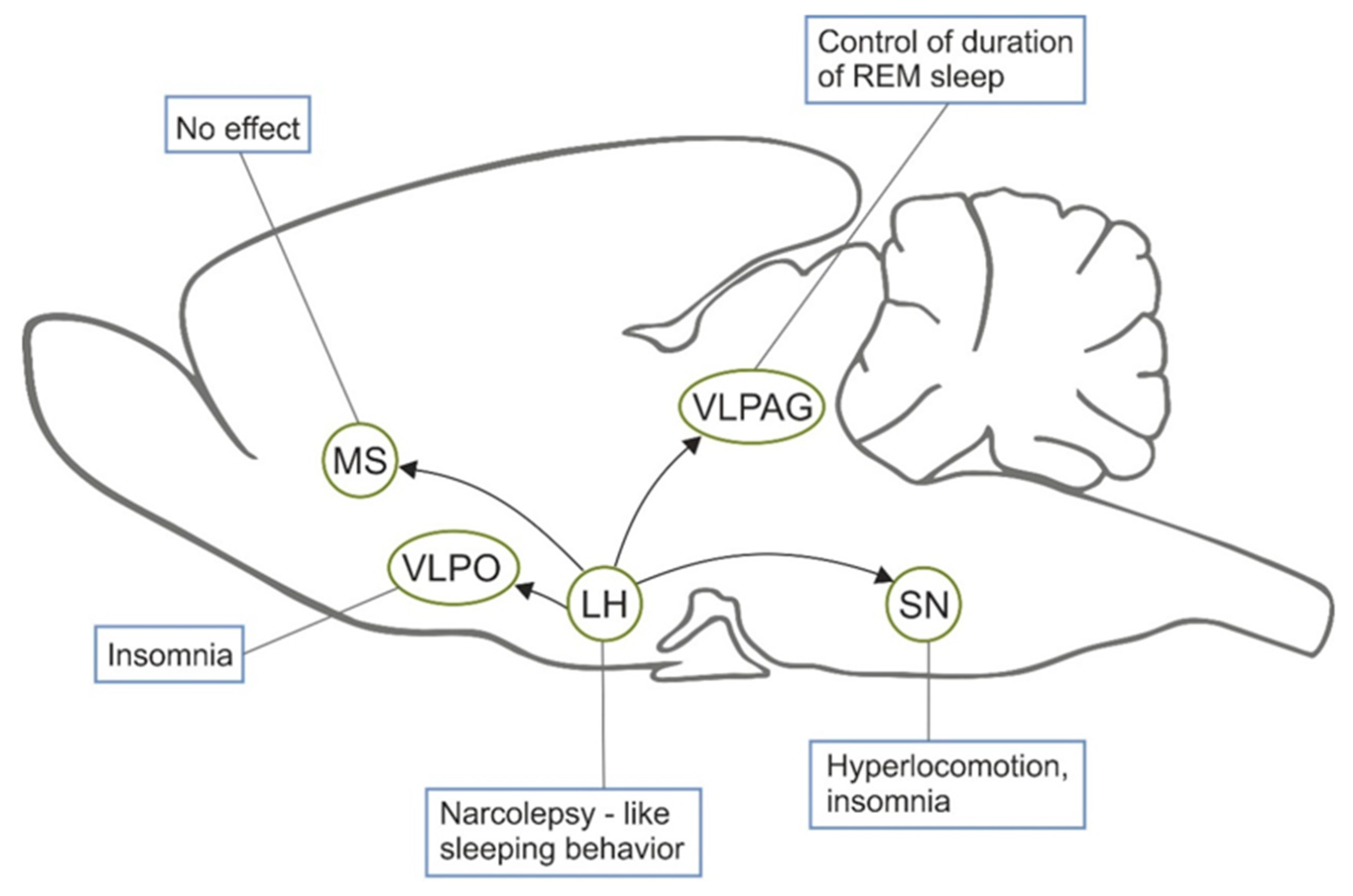 Toxins 12 00546 g001