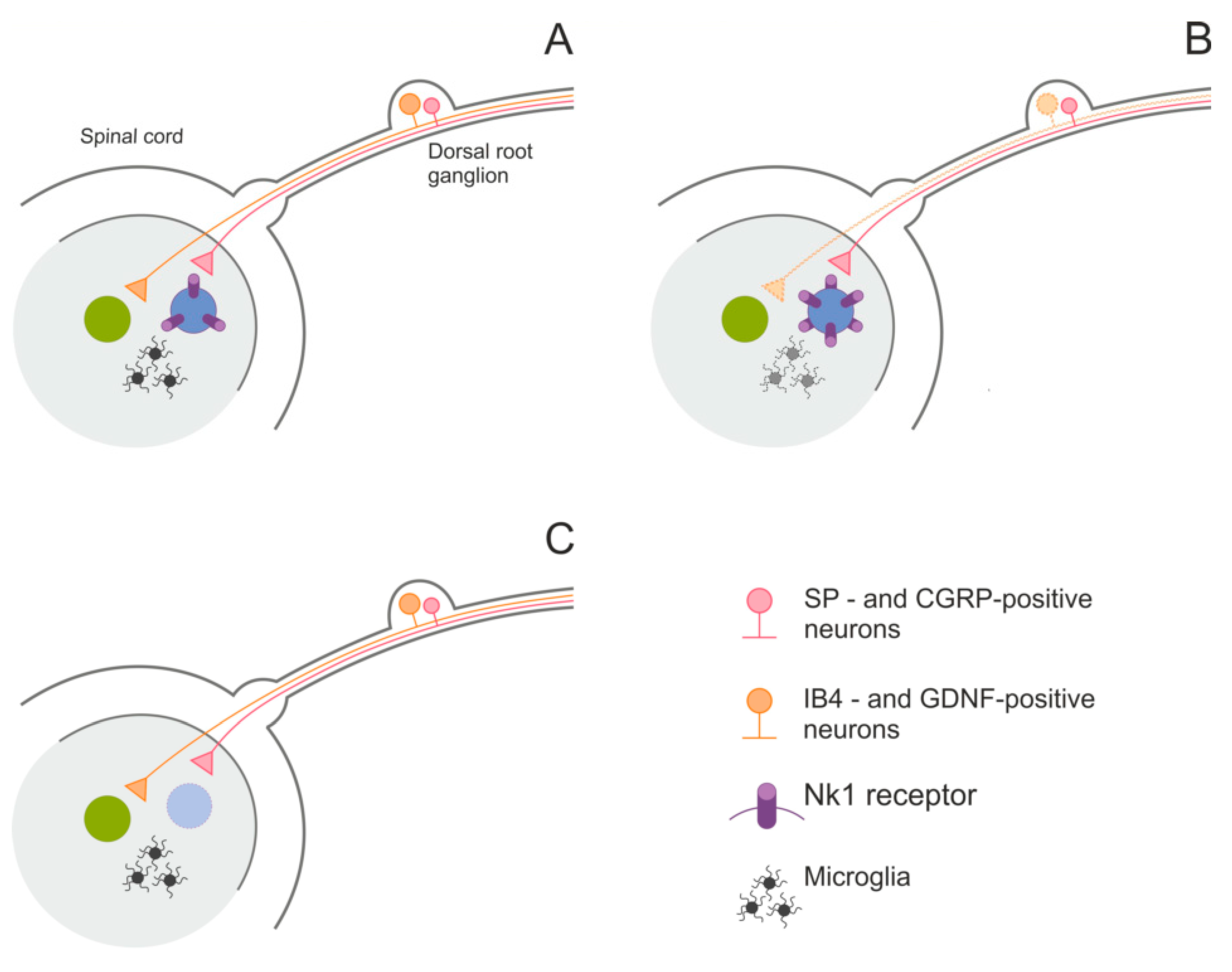 Toxins 12 00546 g002