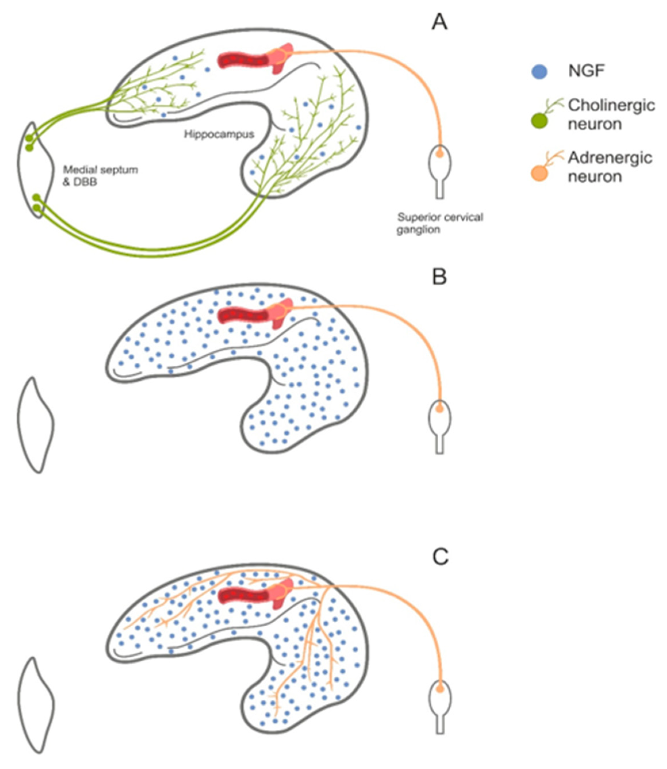 Toxins 12 00546 g003