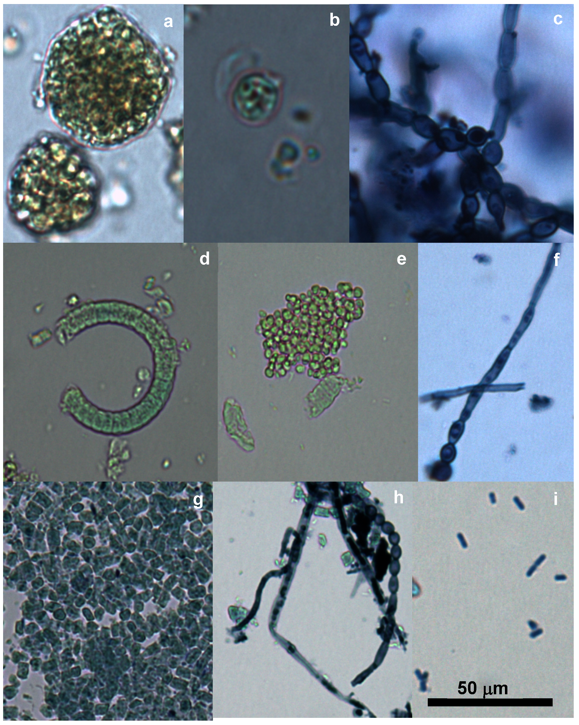 Toxins 12 00552 g001