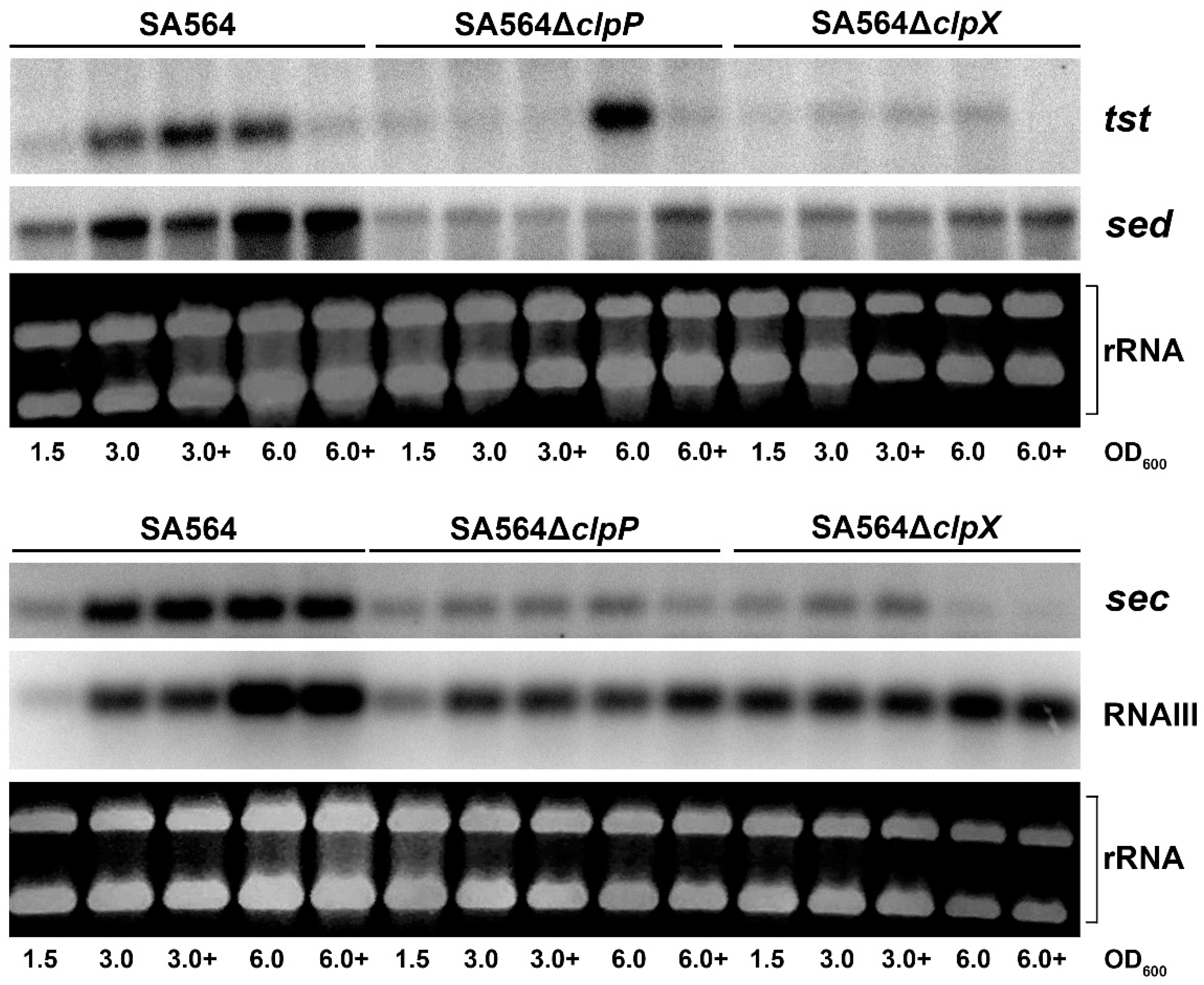 Toxins 12 00553 g001