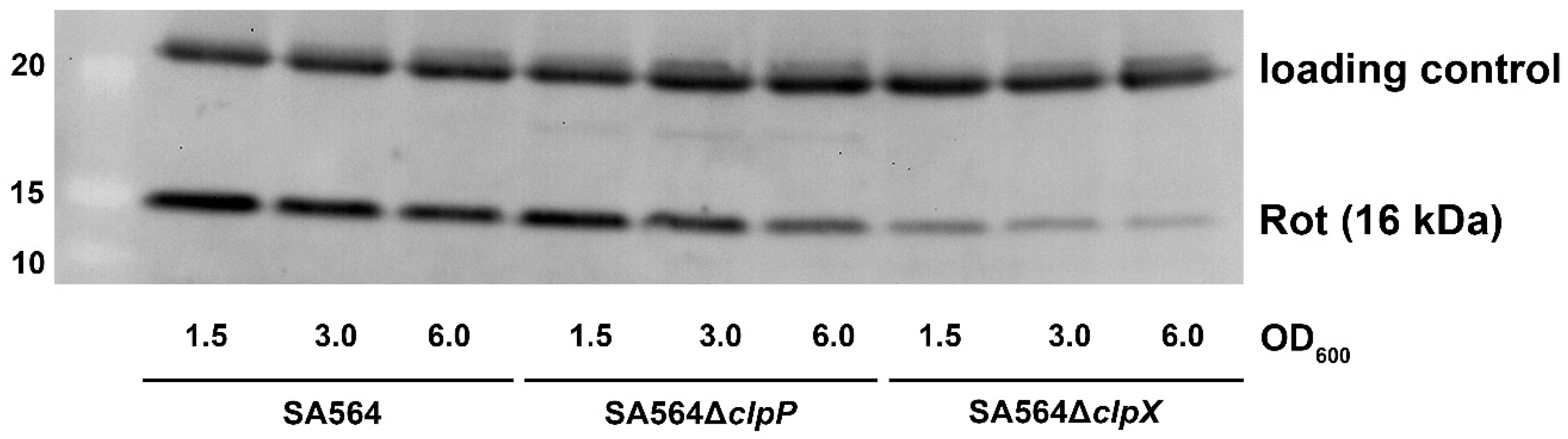 Toxins 12 00553 g003