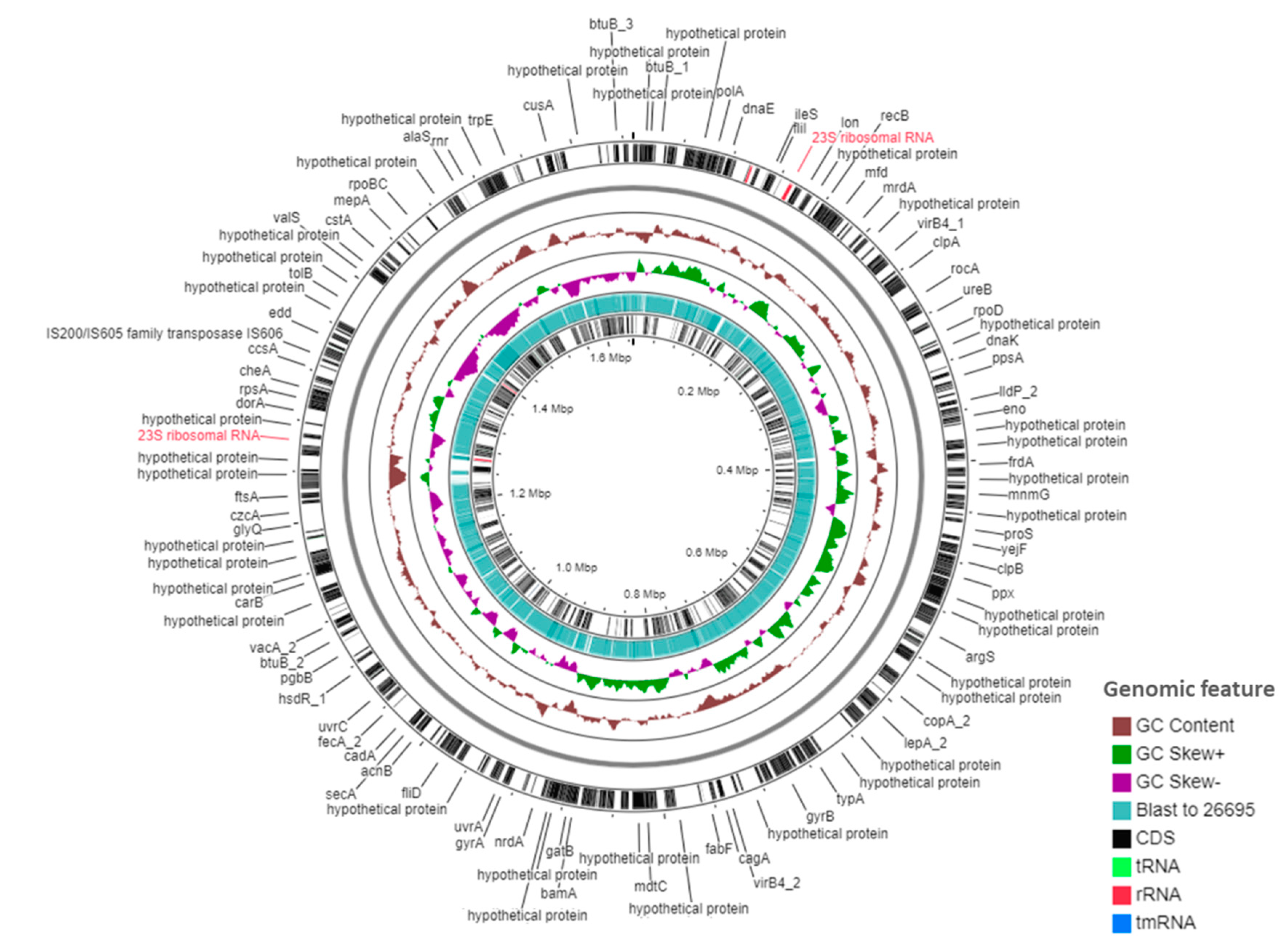 Toxins 12 00556 g002