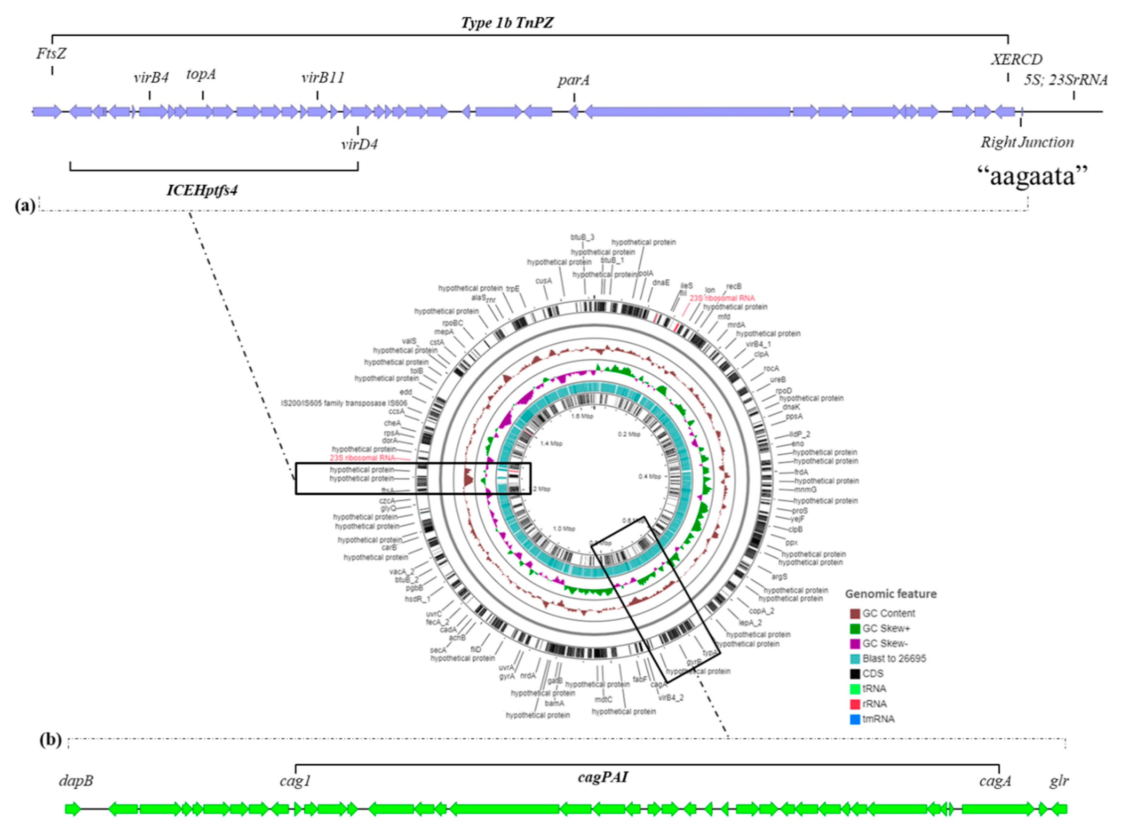 Toxins 12 00556 g004