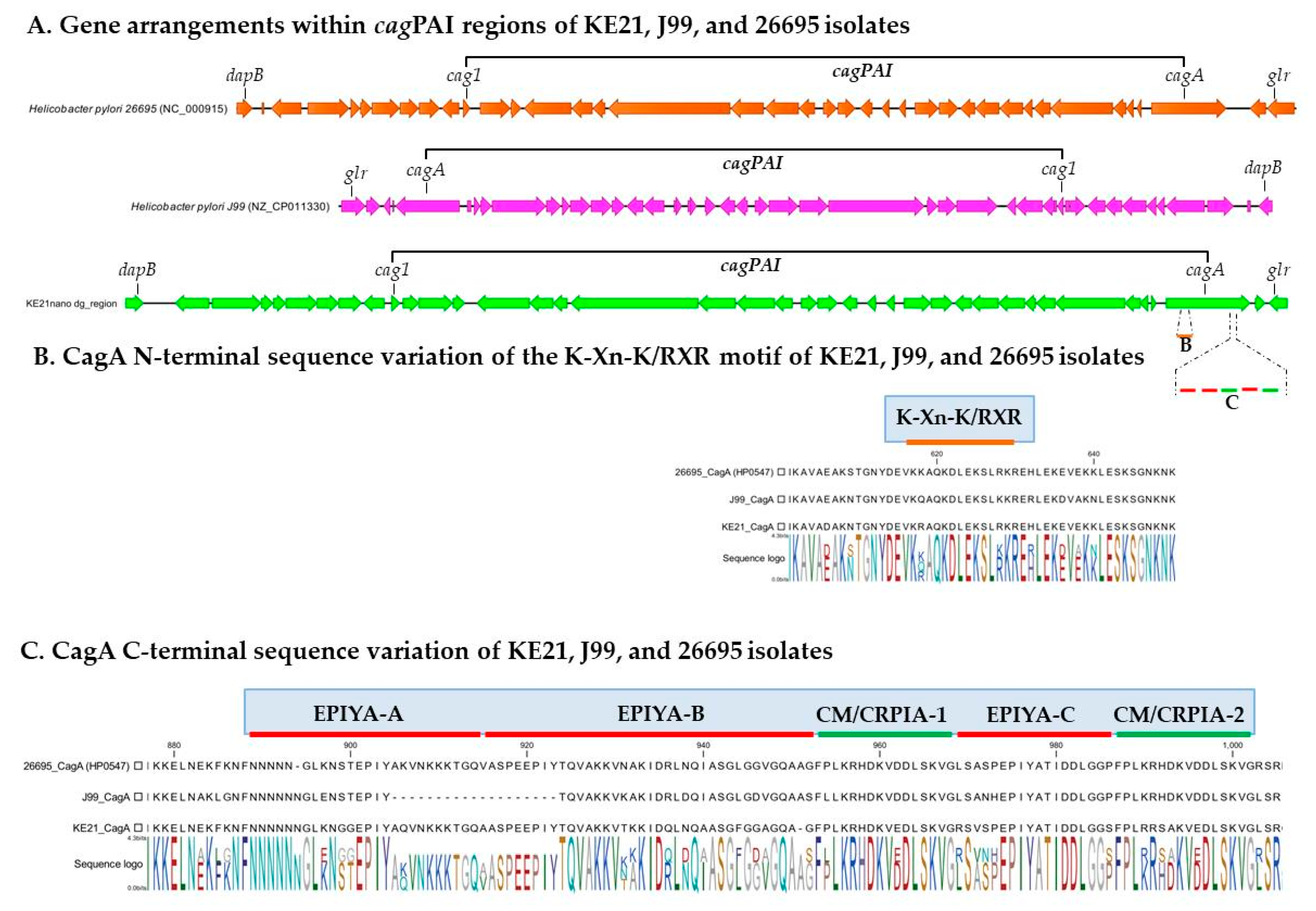 Toxins 12 00556 g005