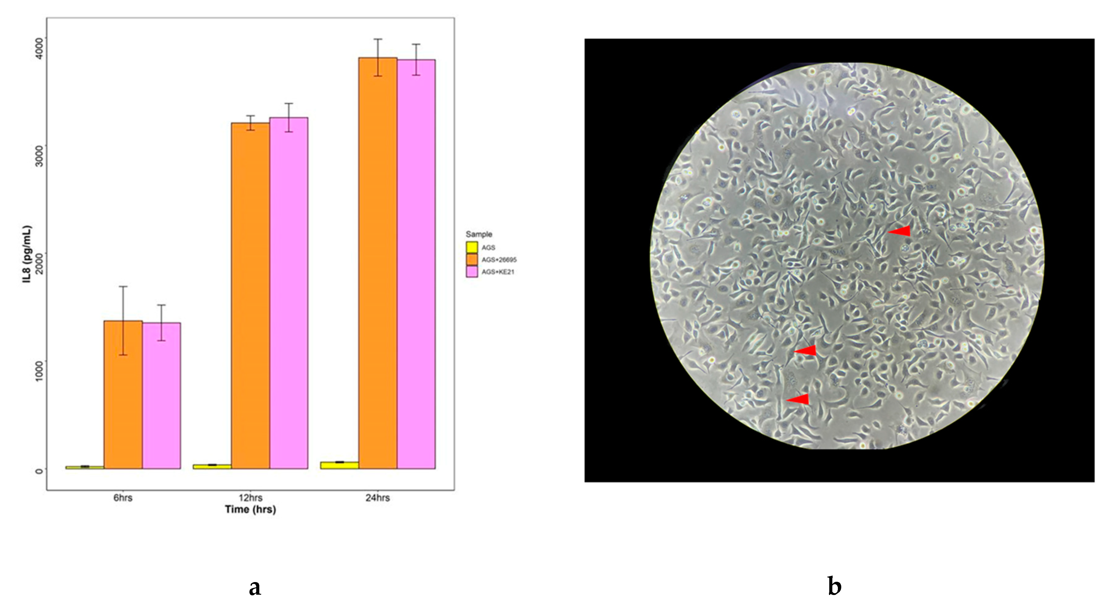 Toxins 12 00556 g007