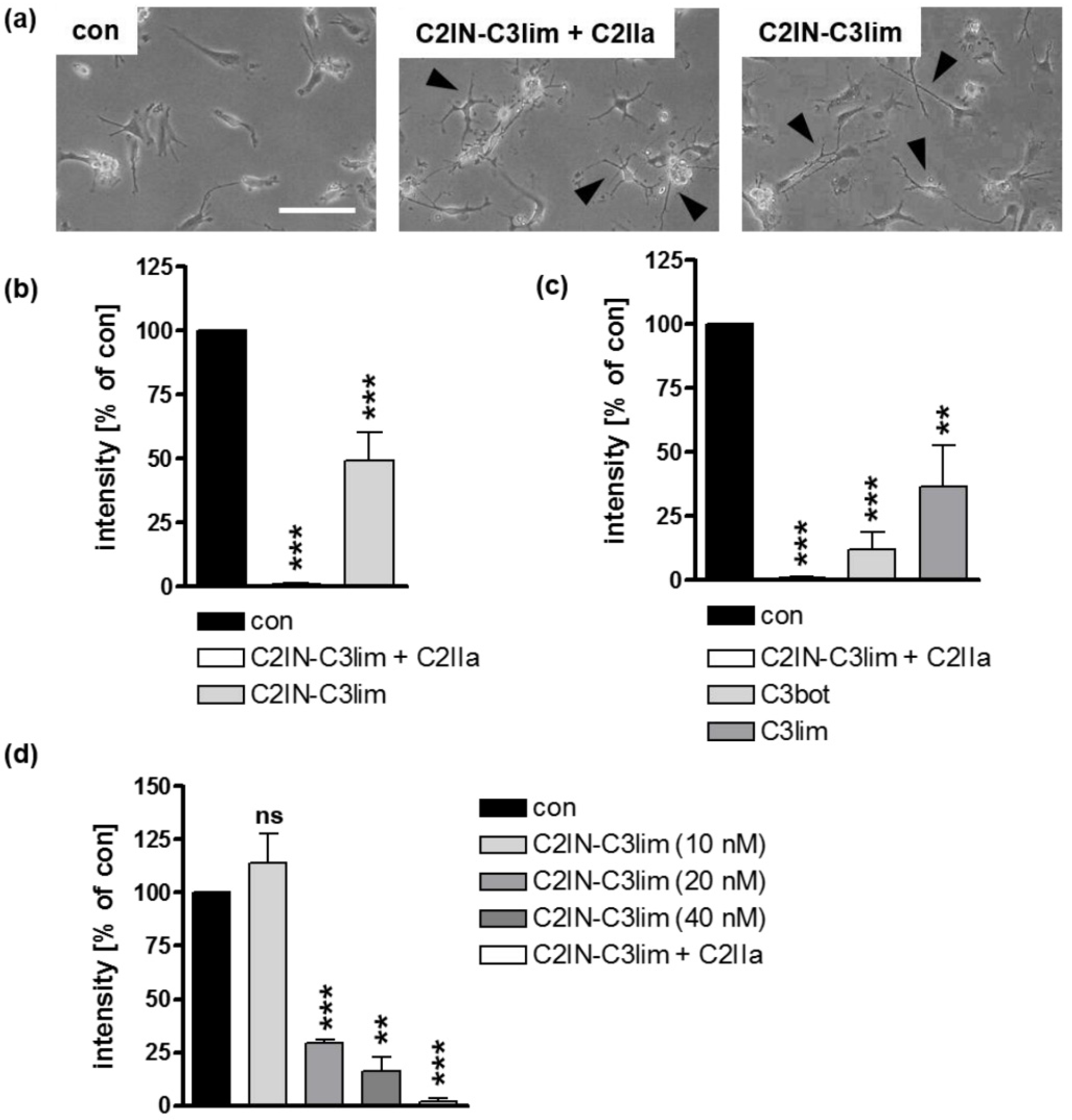 Toxins 12 00563 g004