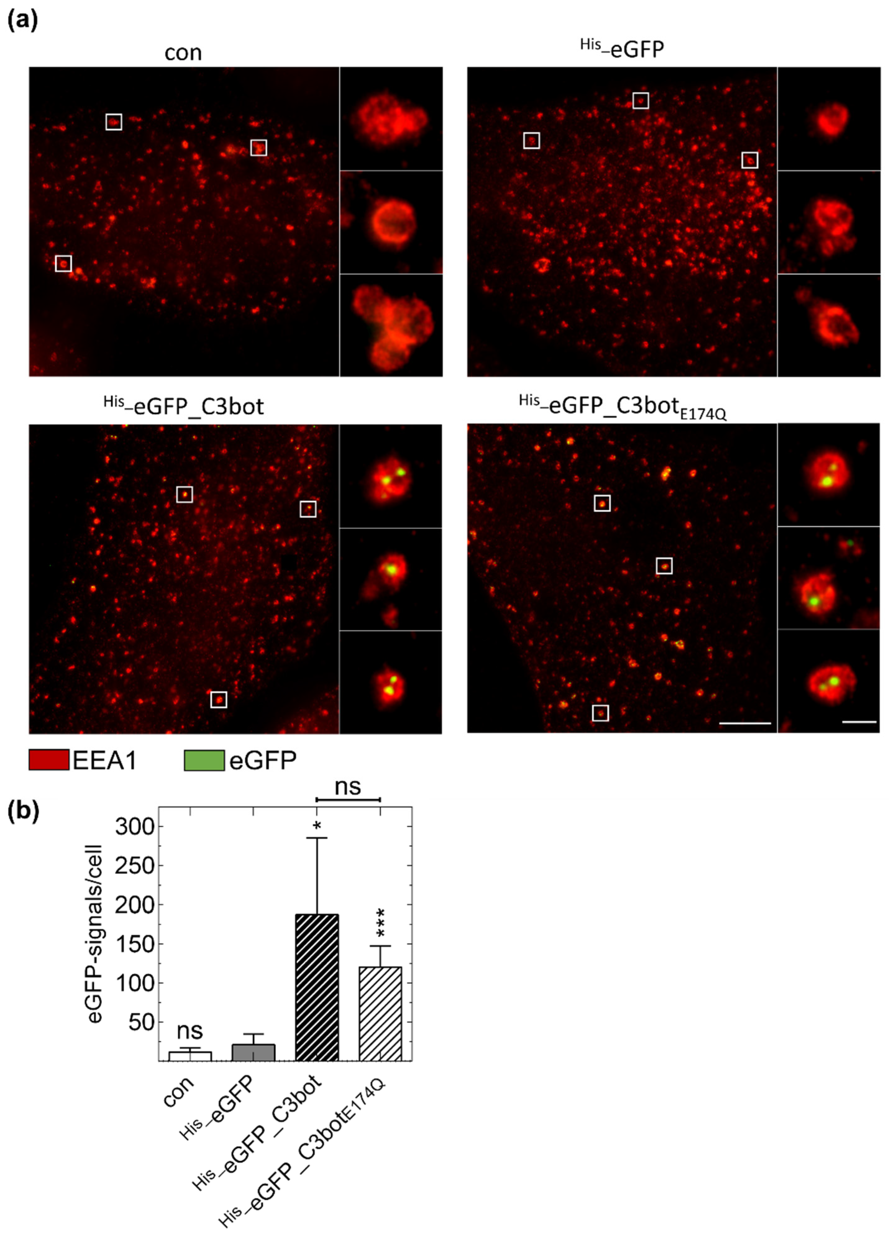 Toxins 12 00563 g006