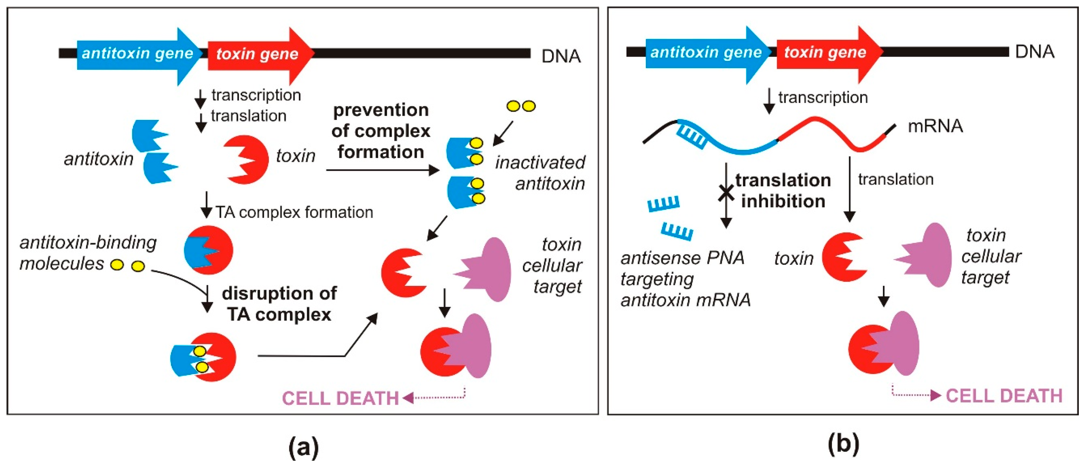 Toxins 12 00568 g002