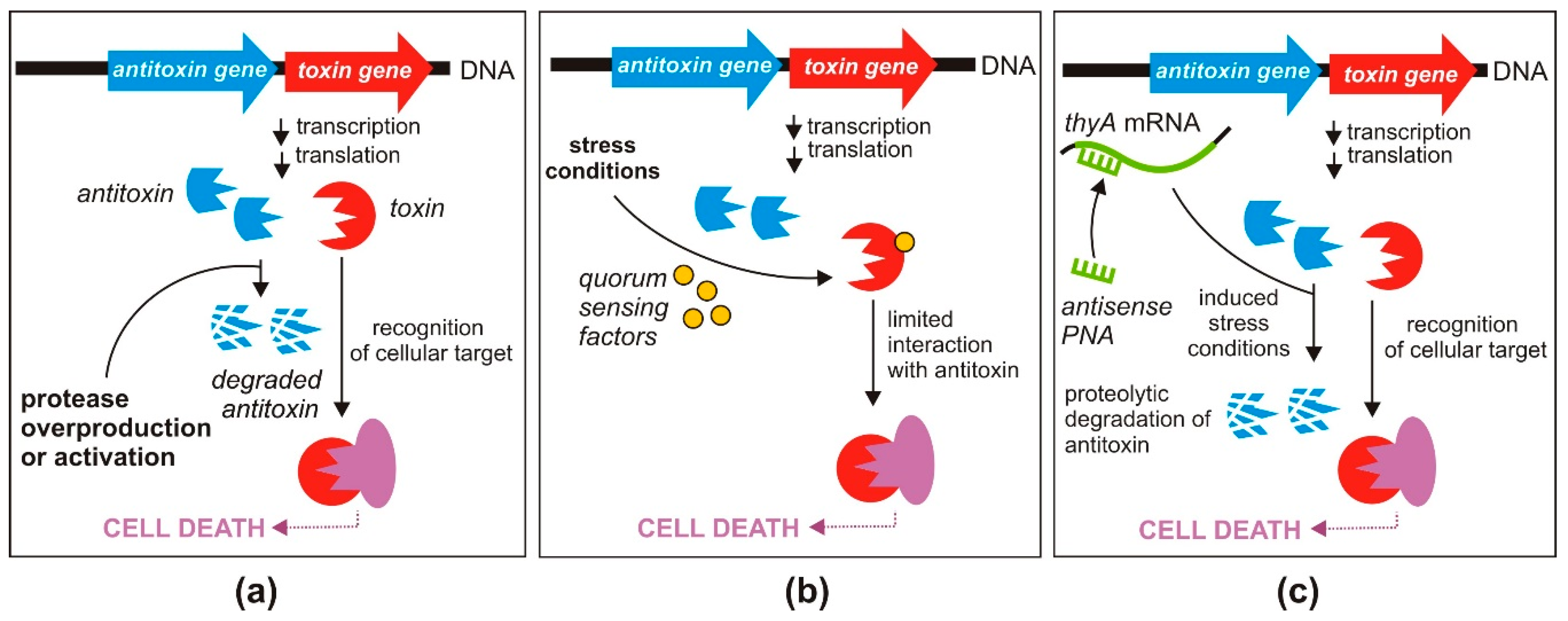 Toxins 12 00568 g003