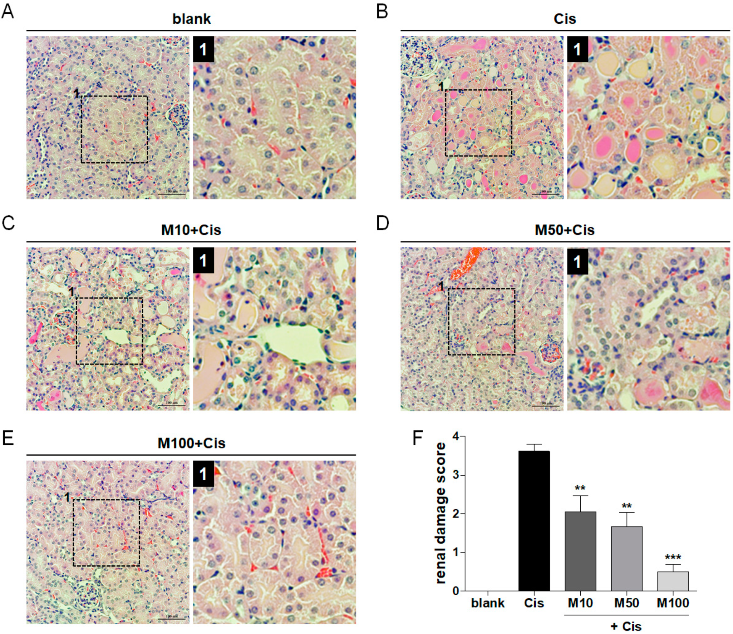 Toxins 12 00574 g002