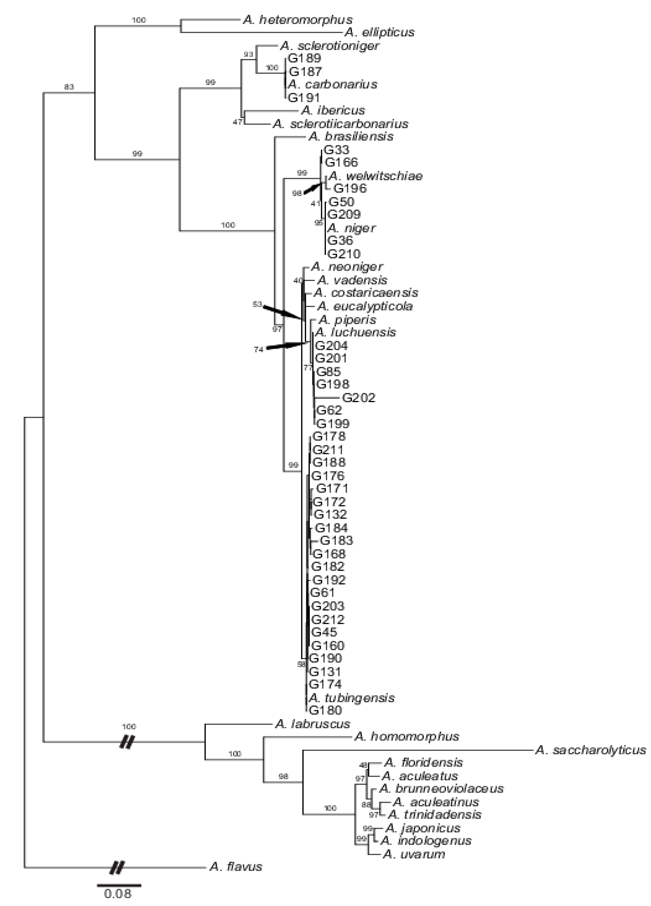 Toxins 12 00592 g001 Toxins 12 00592 g001