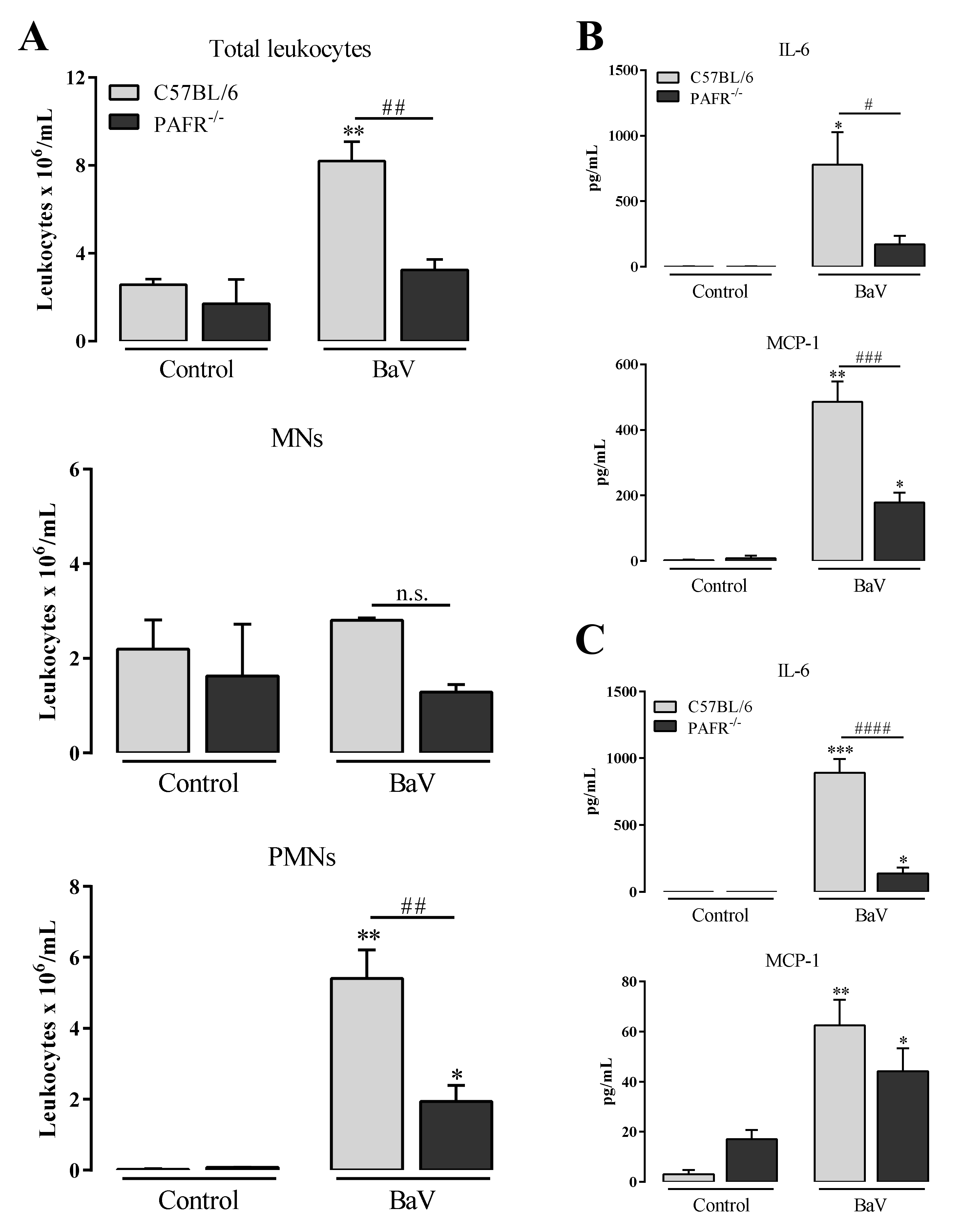 Toxins 12 00594 g005