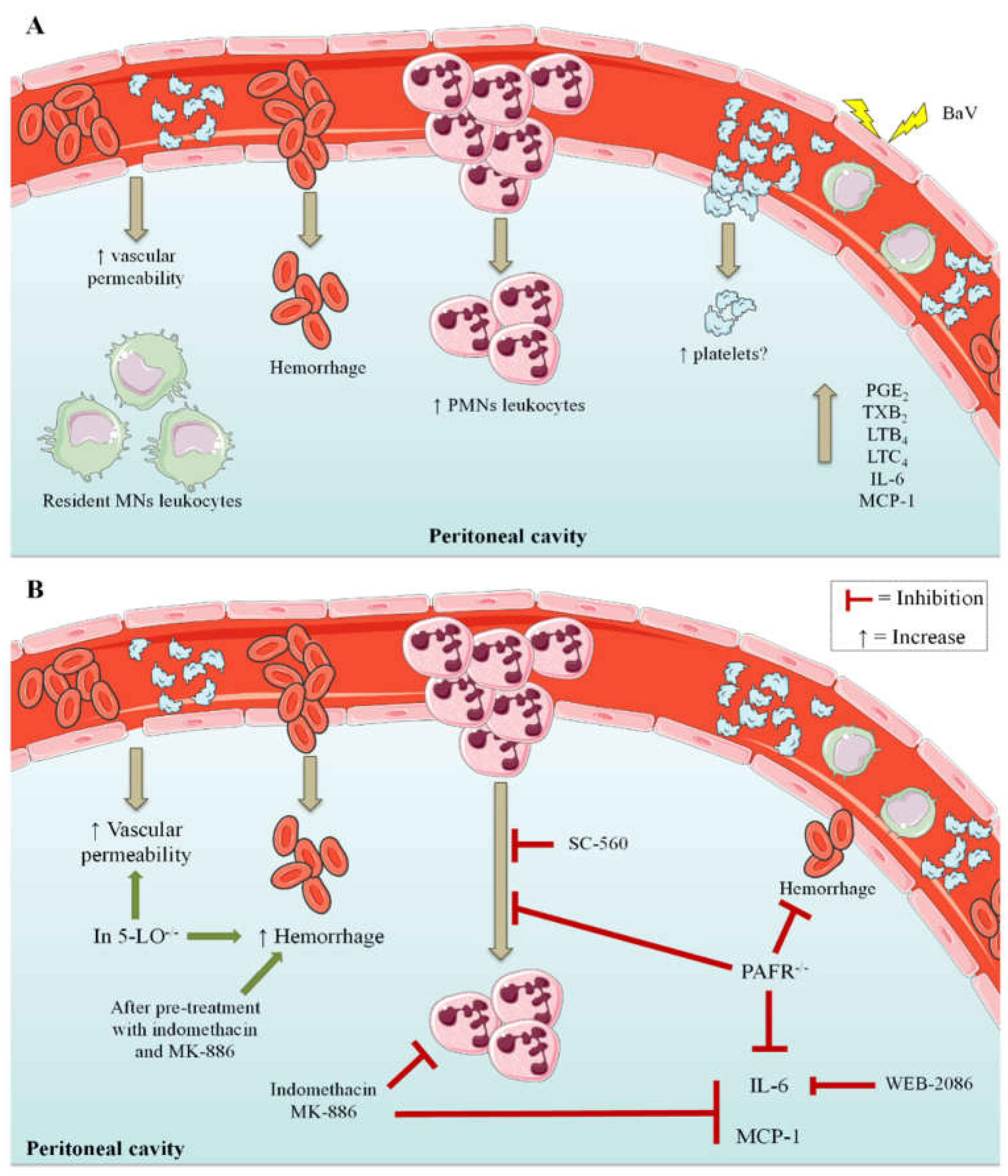 Toxins 12 00594 g008