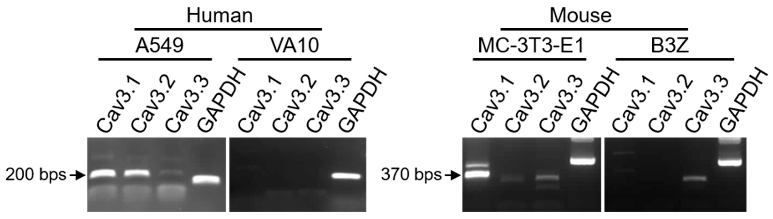 Toxins 12 00596 g002