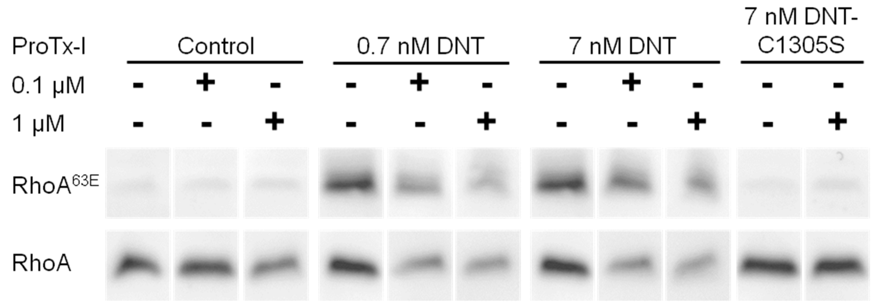 Toxins 12 00596 g005