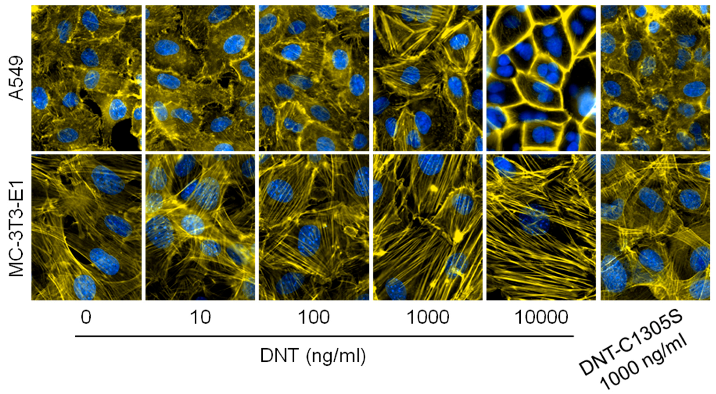 Toxins 12 00596 g006
