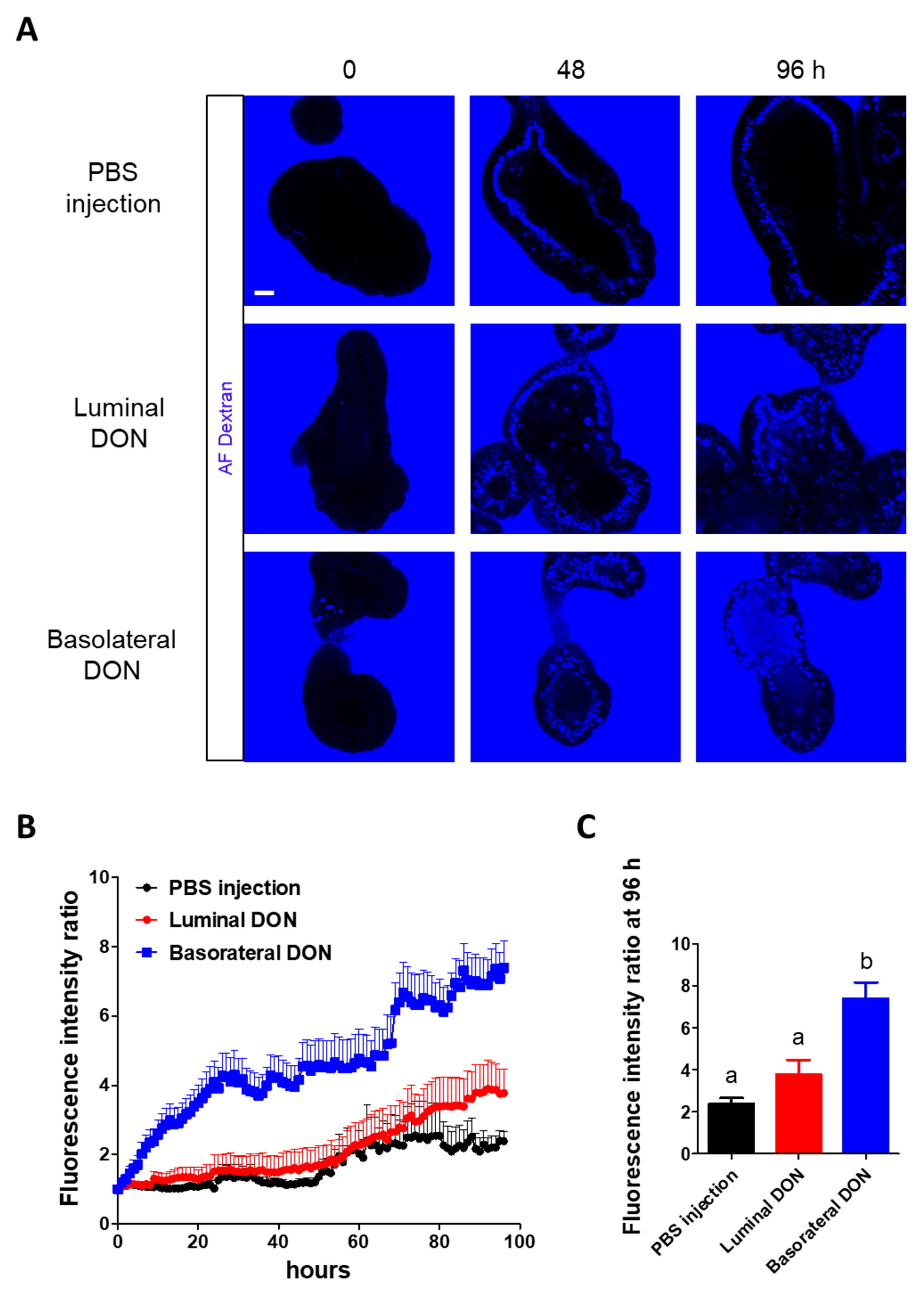 Toxins 12 00610 g002