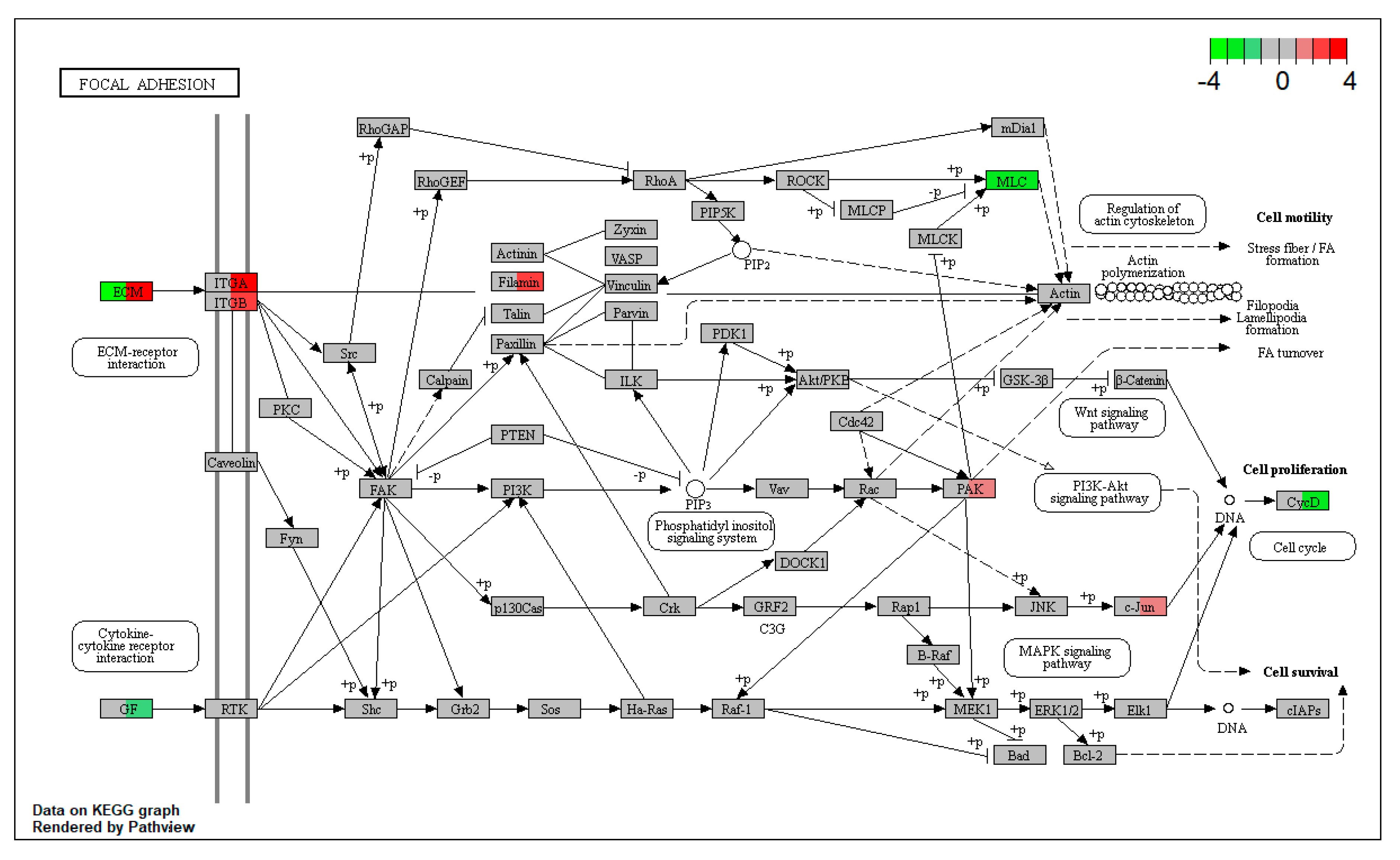 Toxins 12 00610 g007