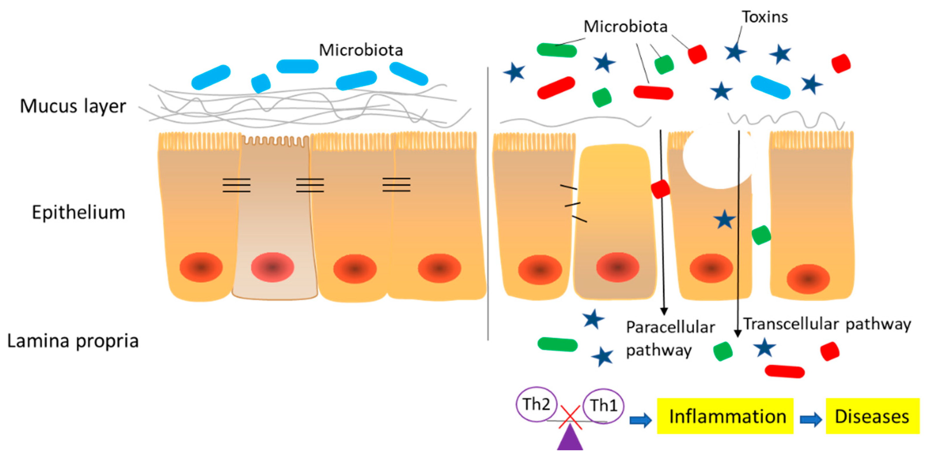 Toxins 12 00619 g002