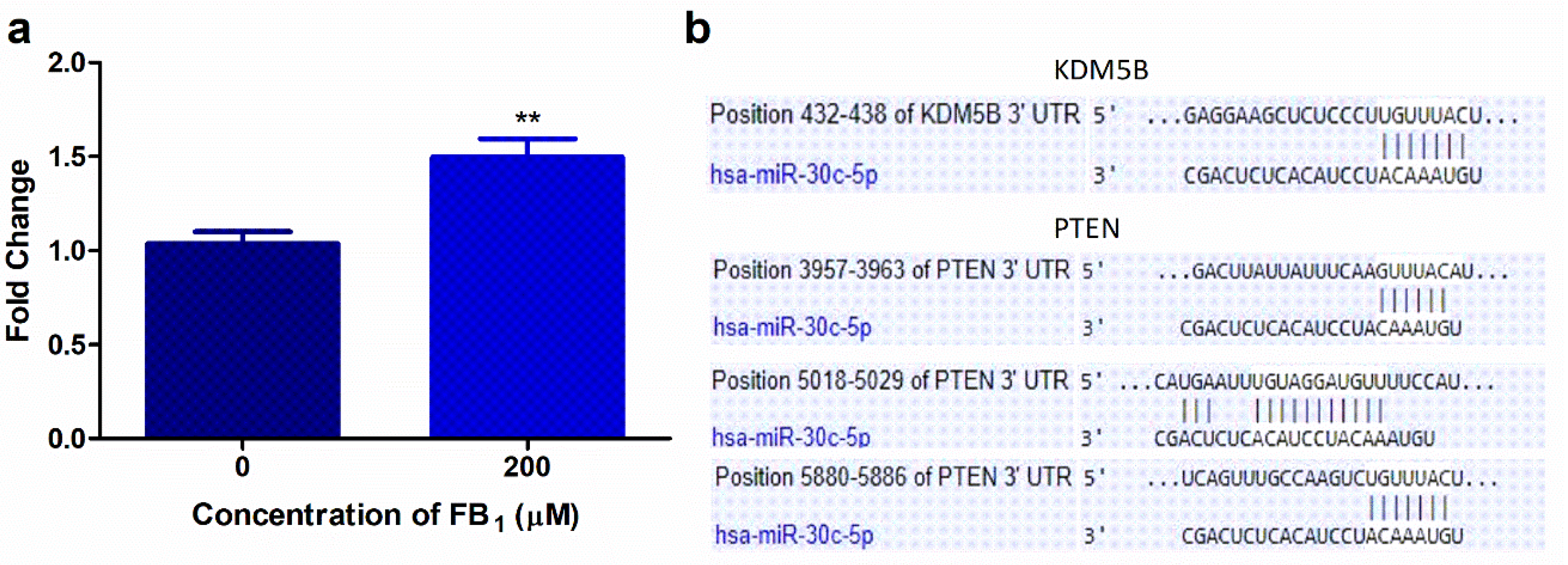 Toxins 12 00625 g002