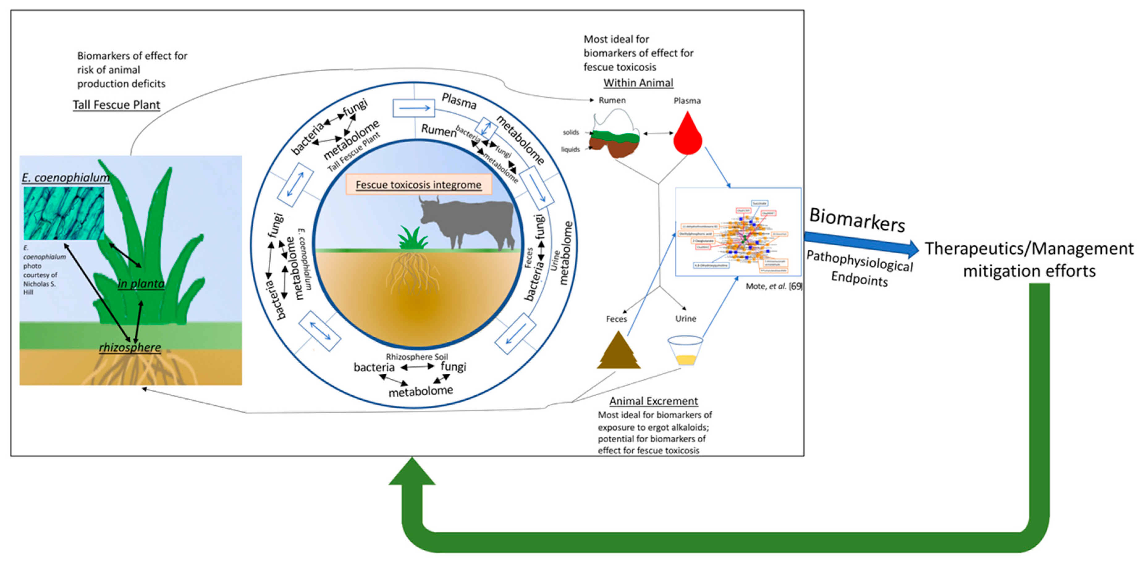 Toxins 12 00633 g002