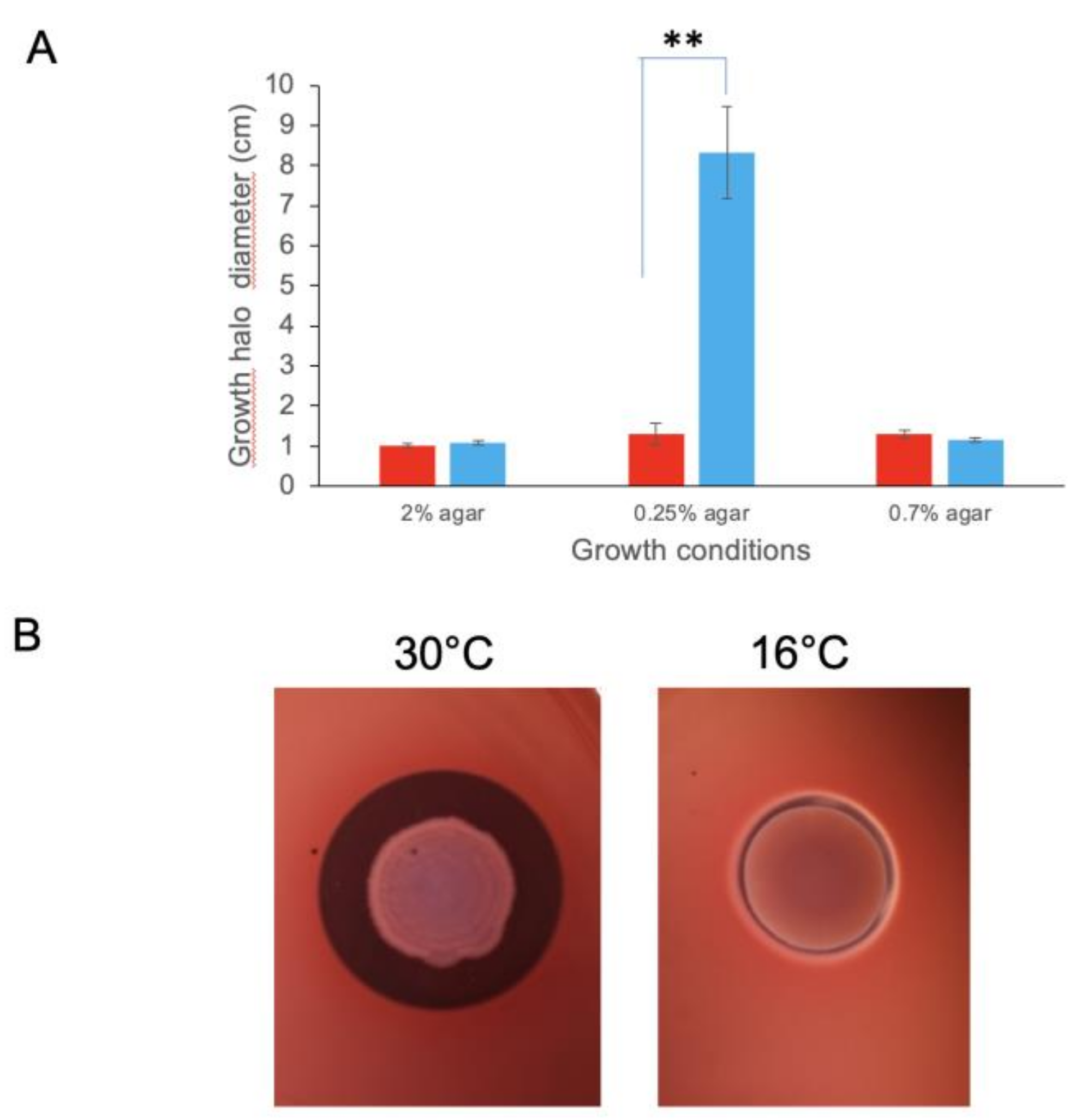 Toxins 12 00645 g002