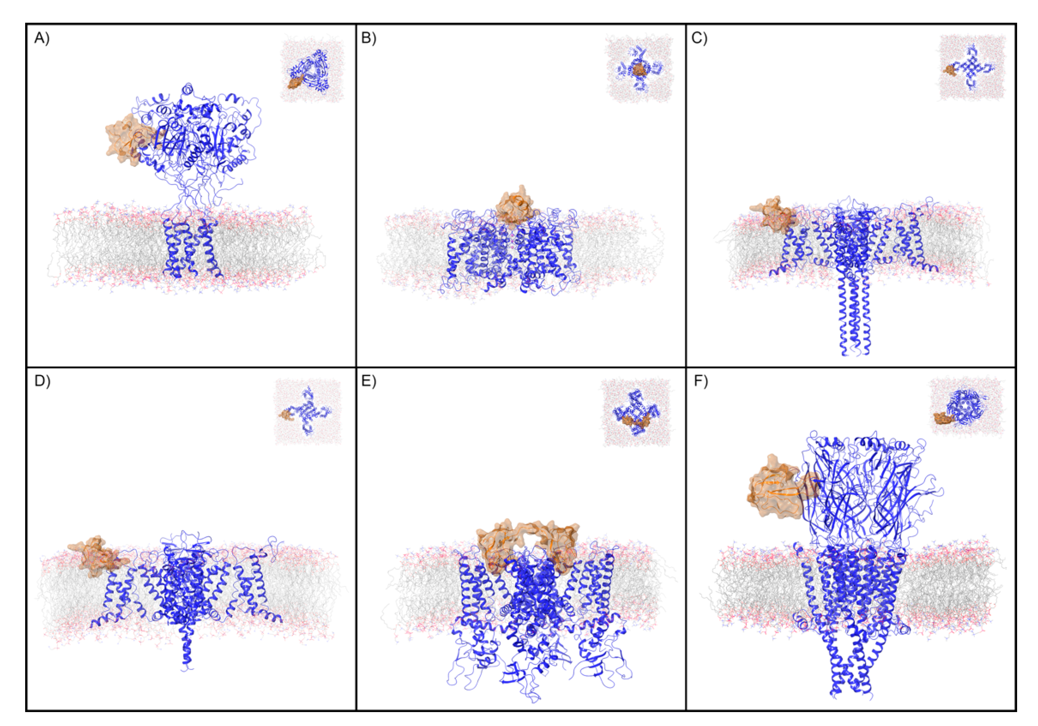 Toxins 12 00652 g001