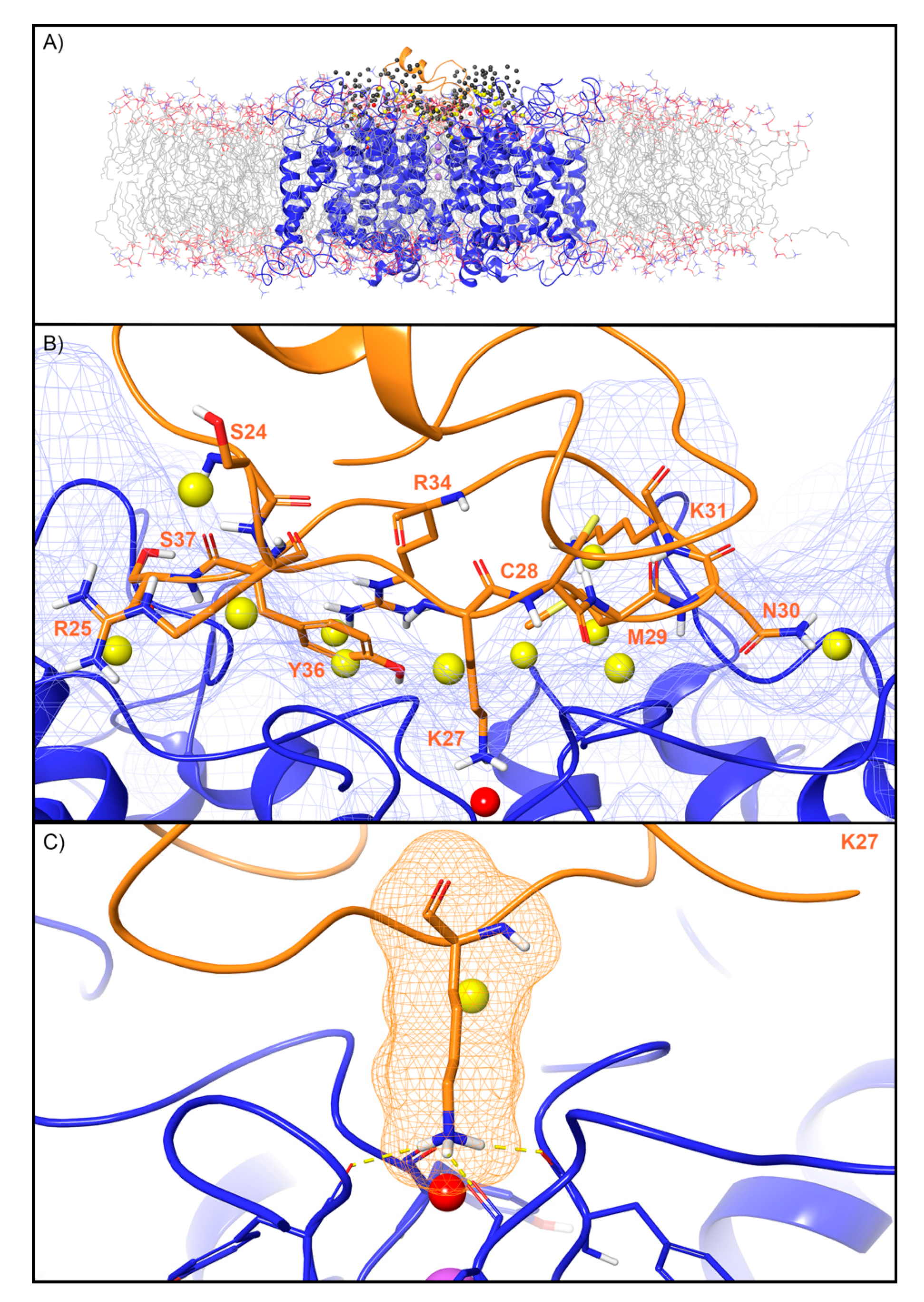 Toxins 12 00652 g004