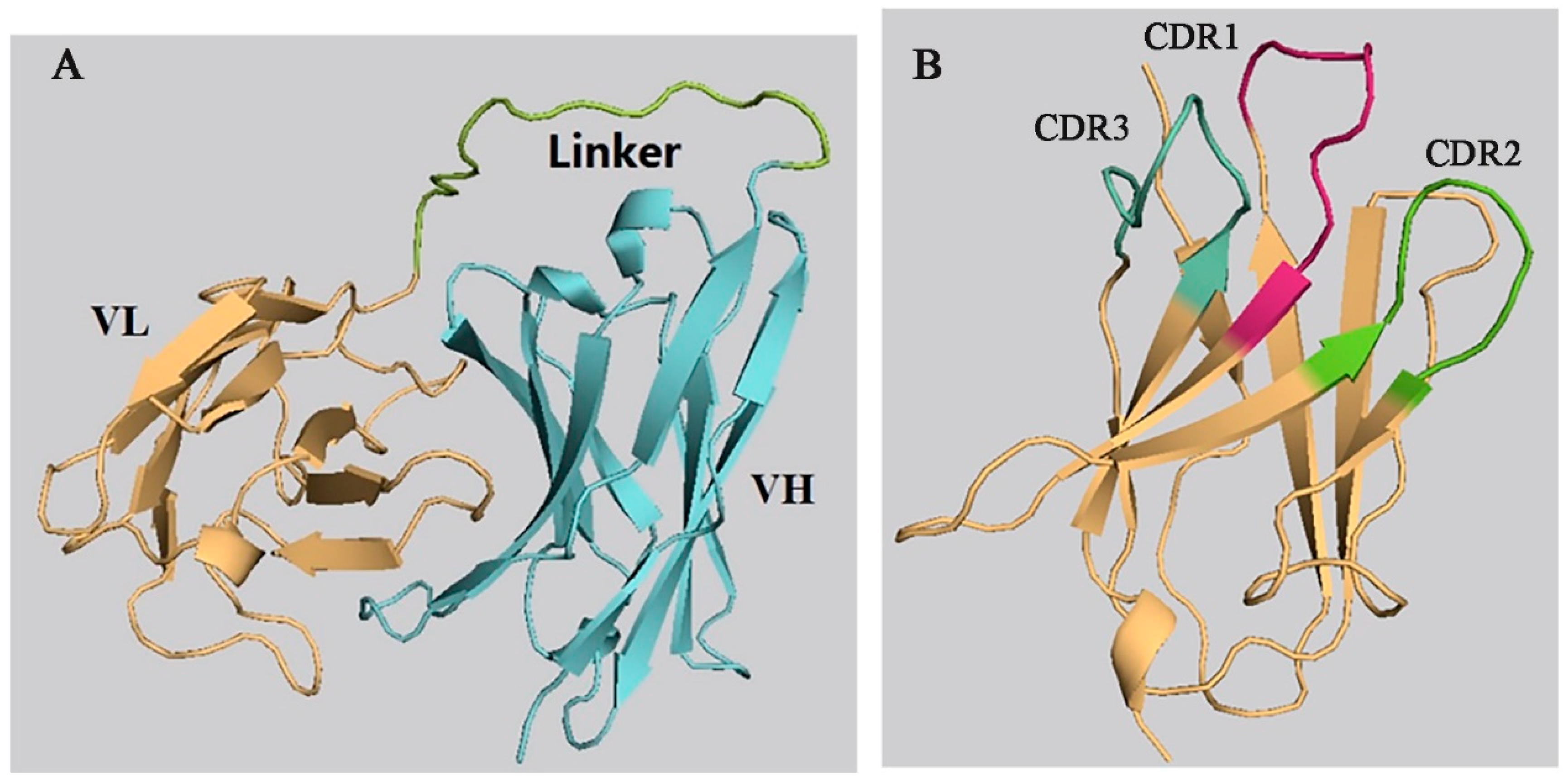 Toxins 12 00655 g001