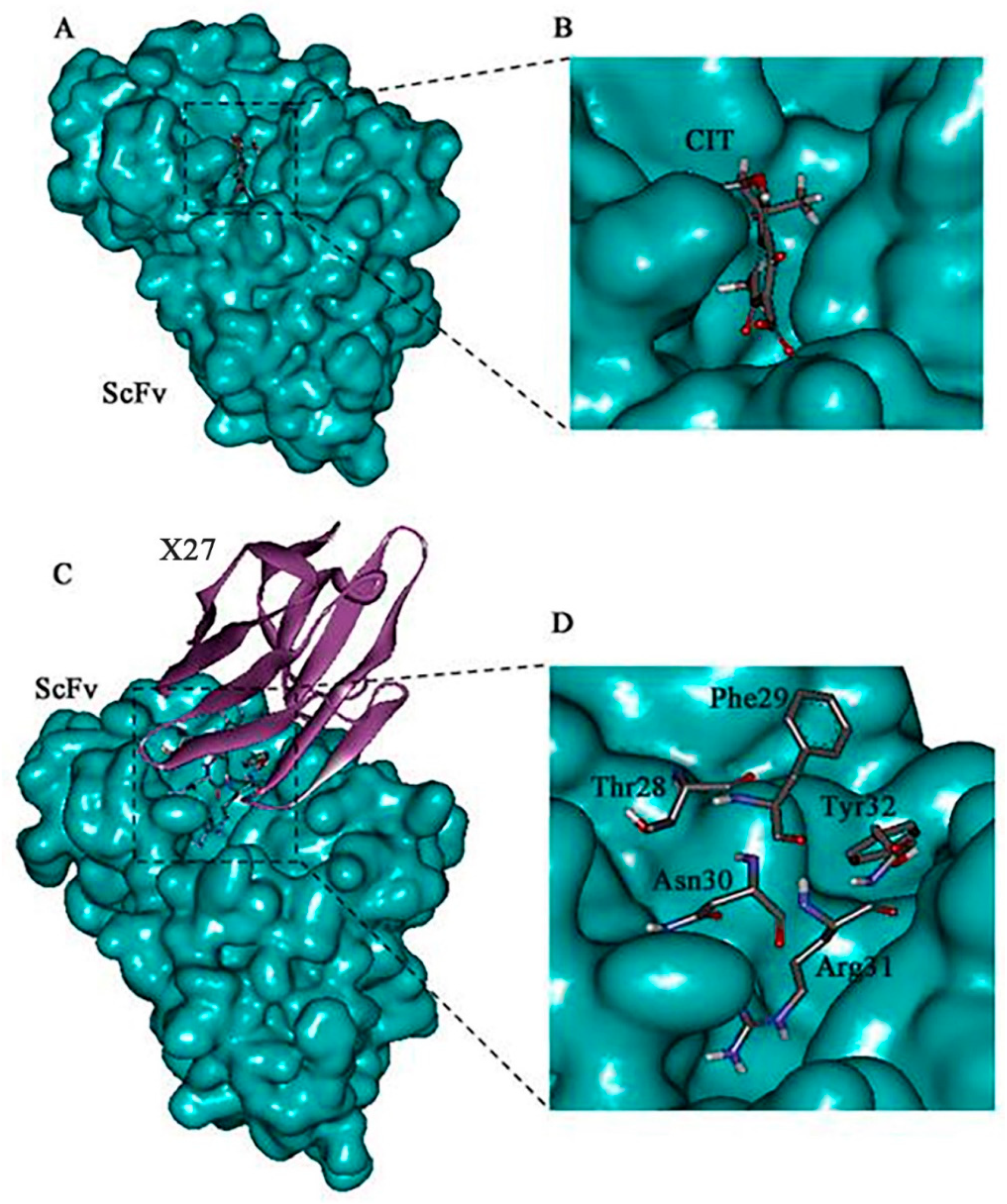 Toxins 12 00655 g002