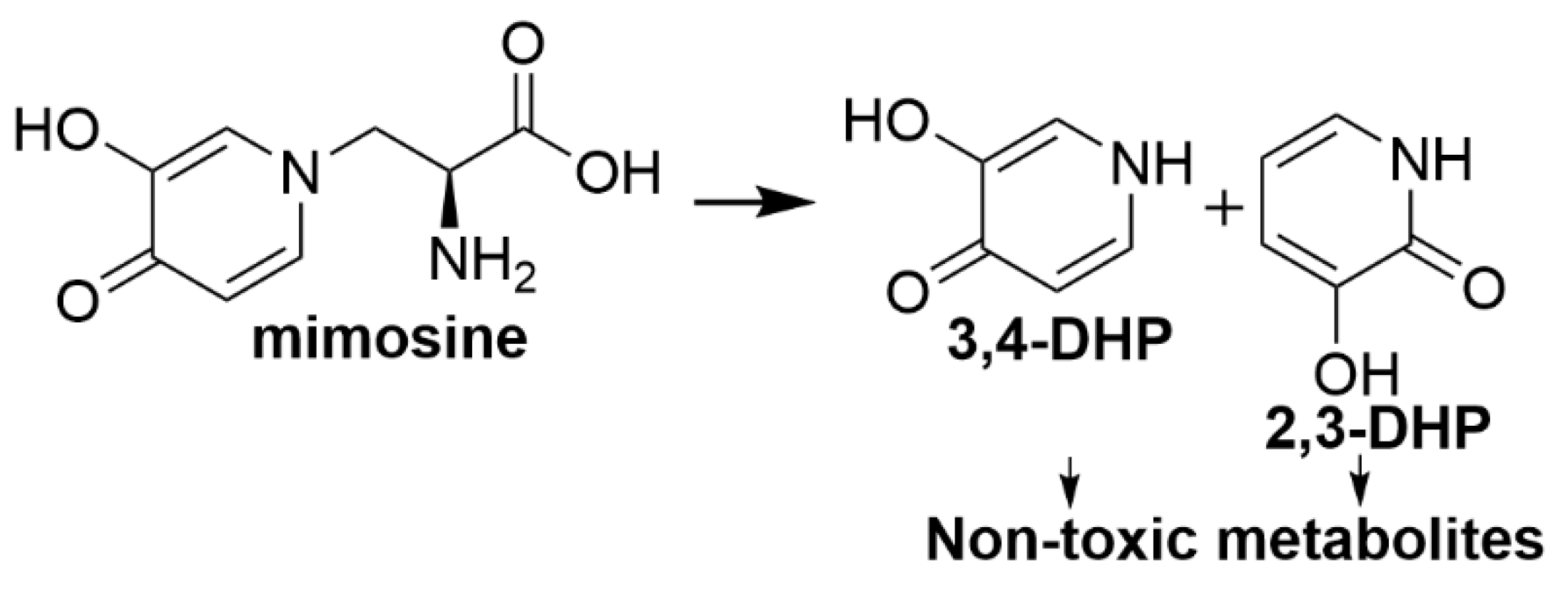 Toxins 12 00664 g001