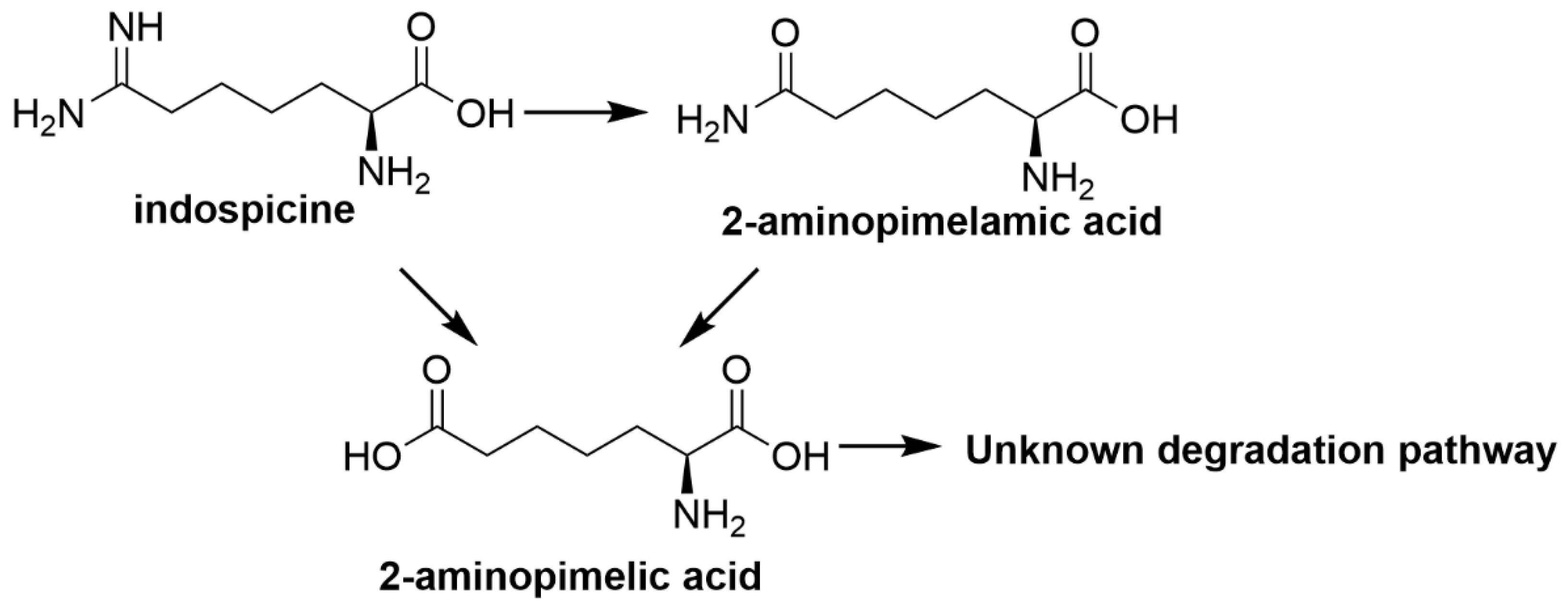 Toxins 12 00664 g004